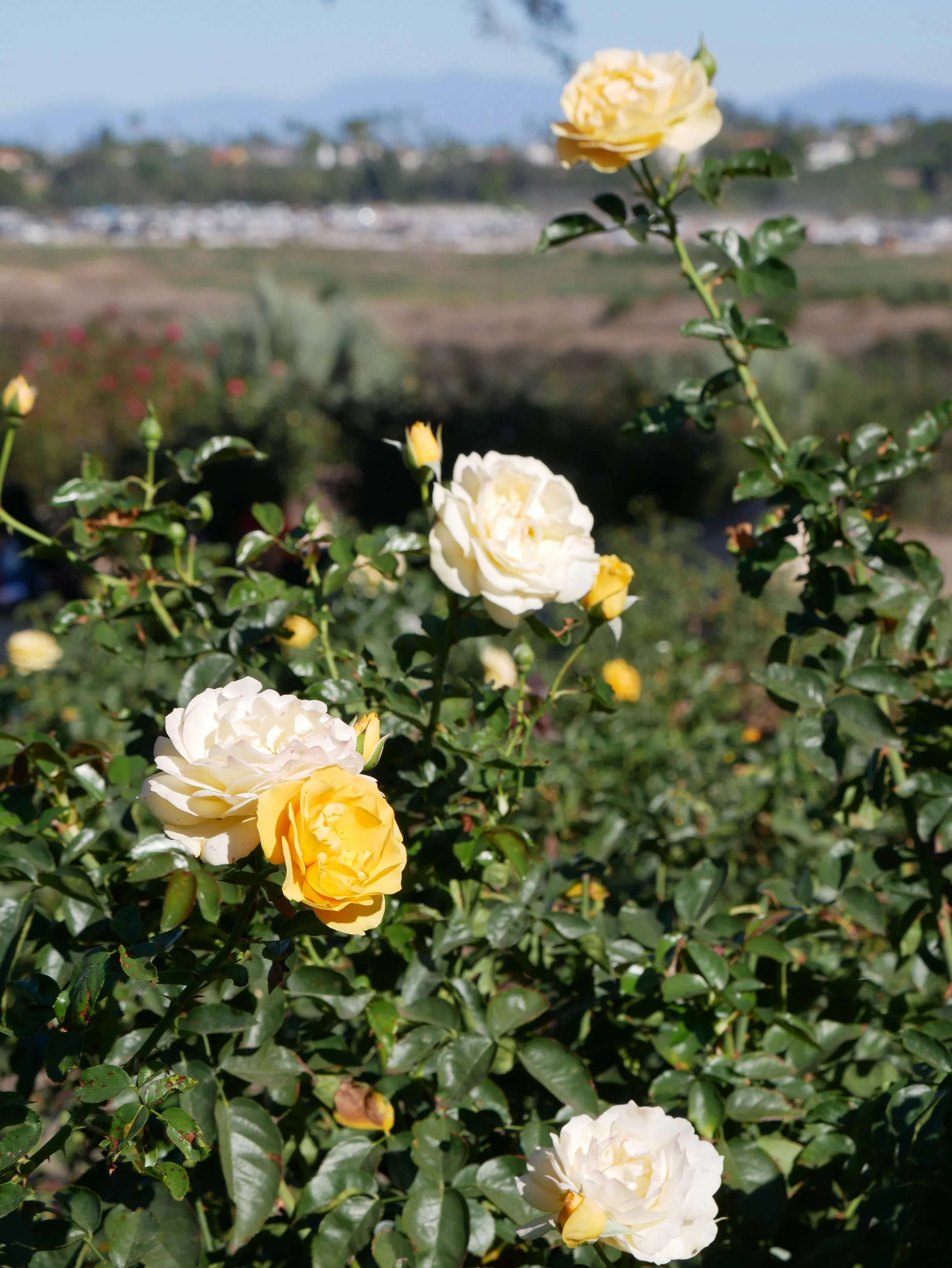 Don’t Like Being Called “Babe”—Even by People You Care About?