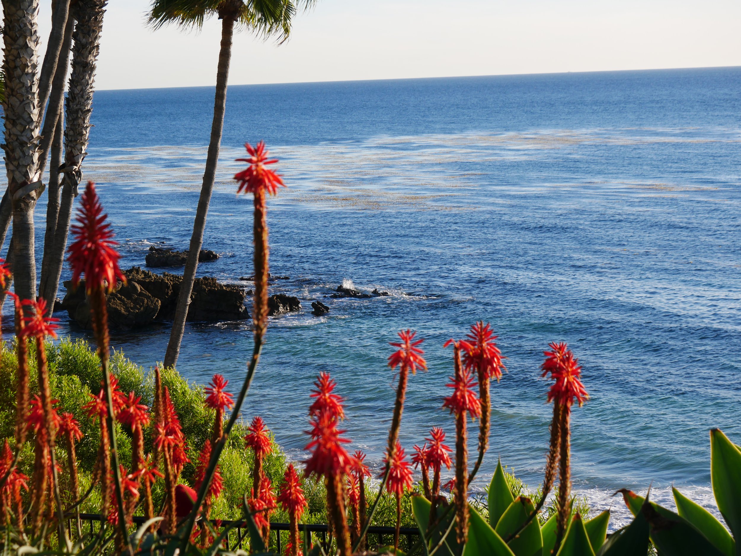 The California Dreaming — Longing, Meaning, and Self-Connection