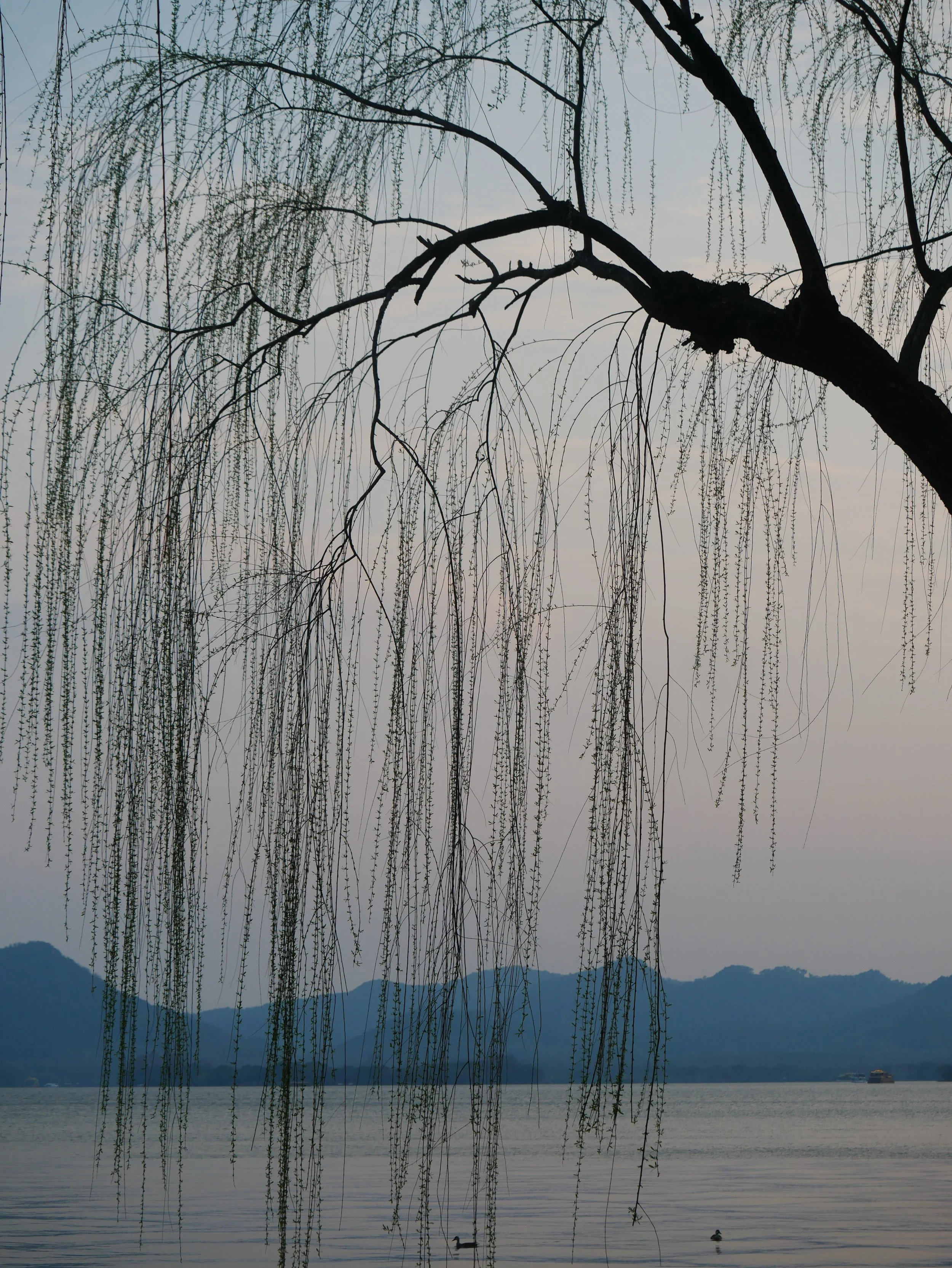 The Godot You Are Waiting For - Living Until Further Notice