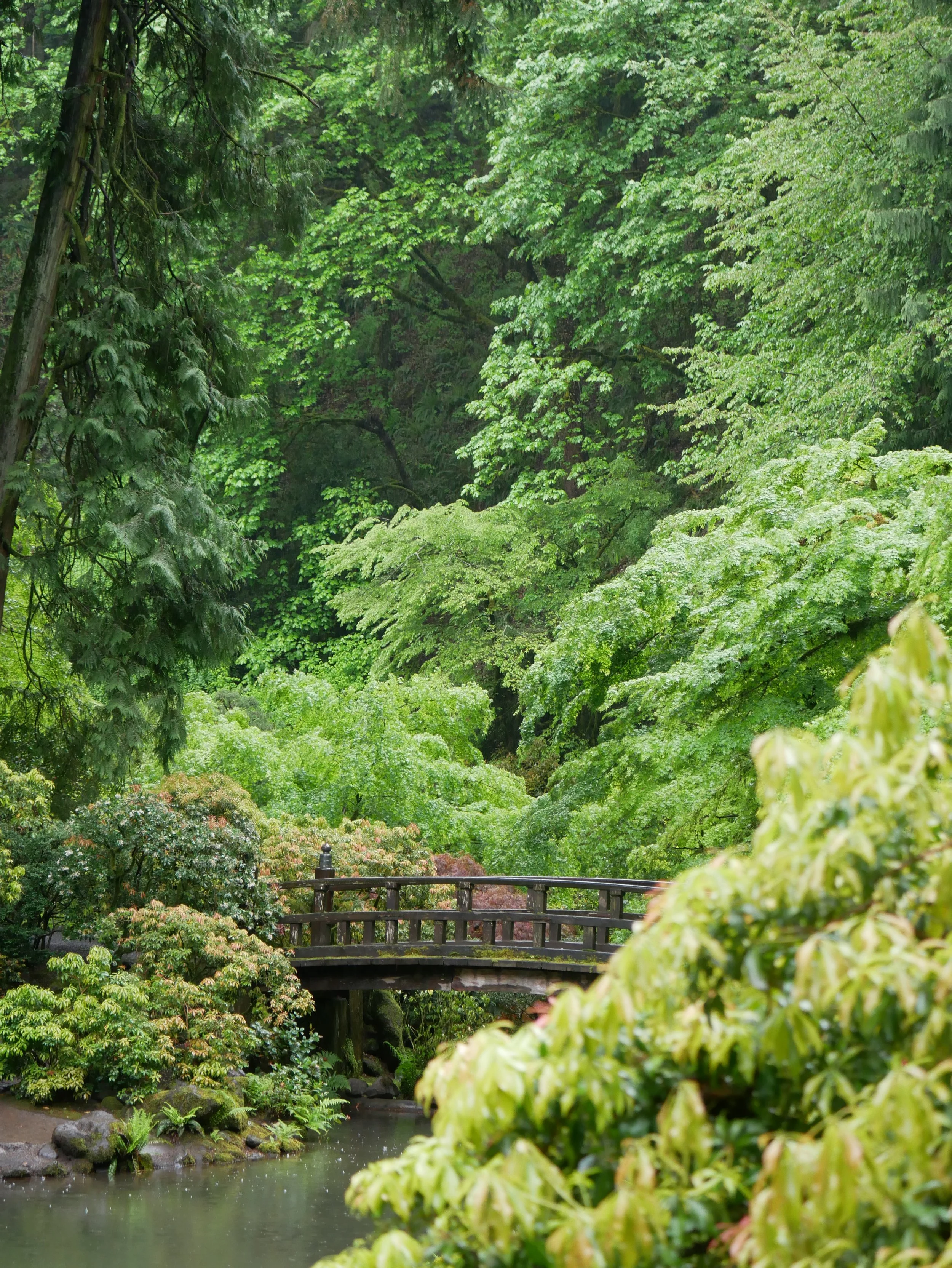 A serene garden scene with many green trees, bushes, and a small pond with a wooden bridge crossing over it.