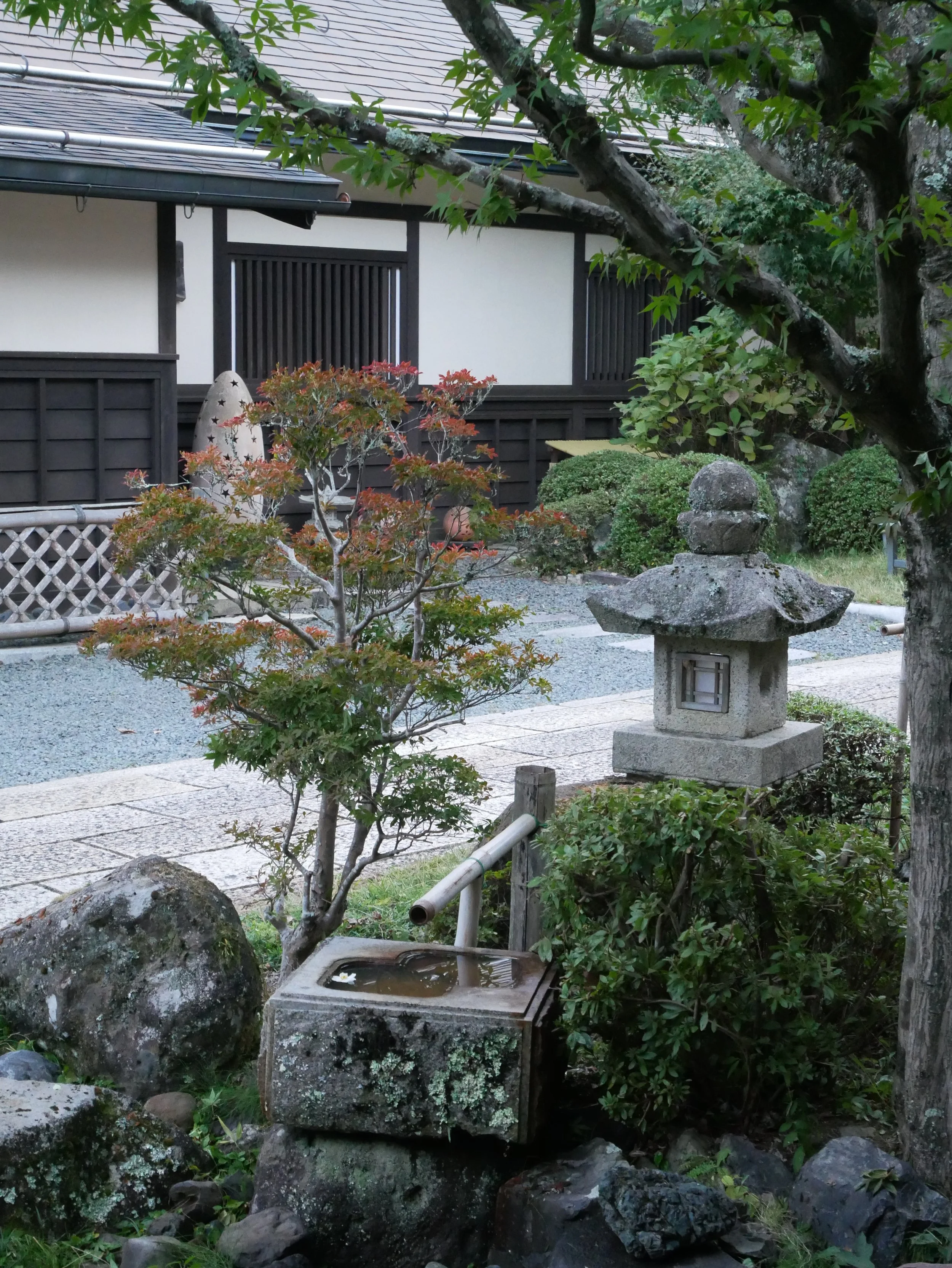 A traditional Japanese garden with rocks, a small stone lantern, a small tree, a water basin, and gravel path, surrounded by greenery and a building with wooden accents.