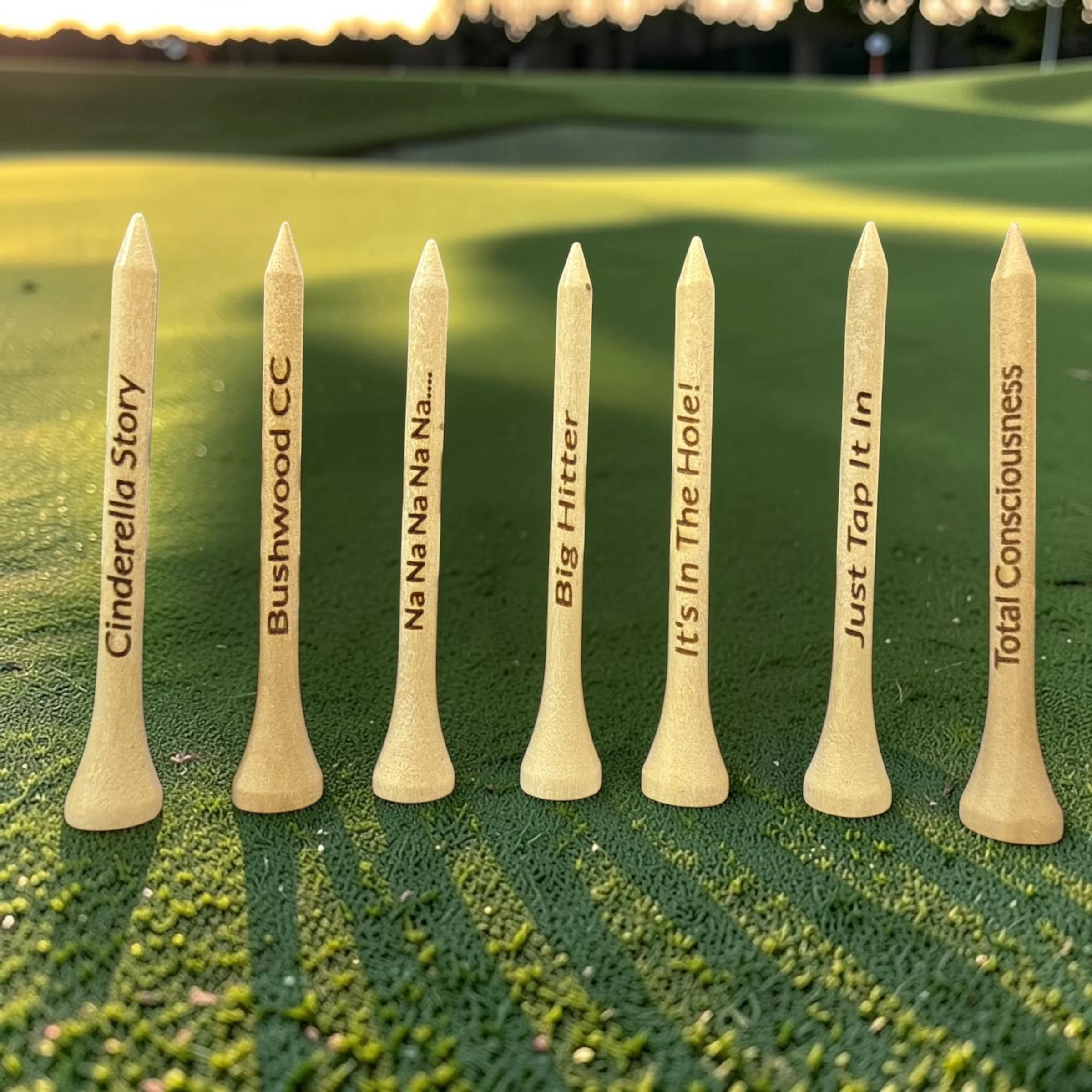 Funny Engraved Golf Tees – Mixed Set or Custom
