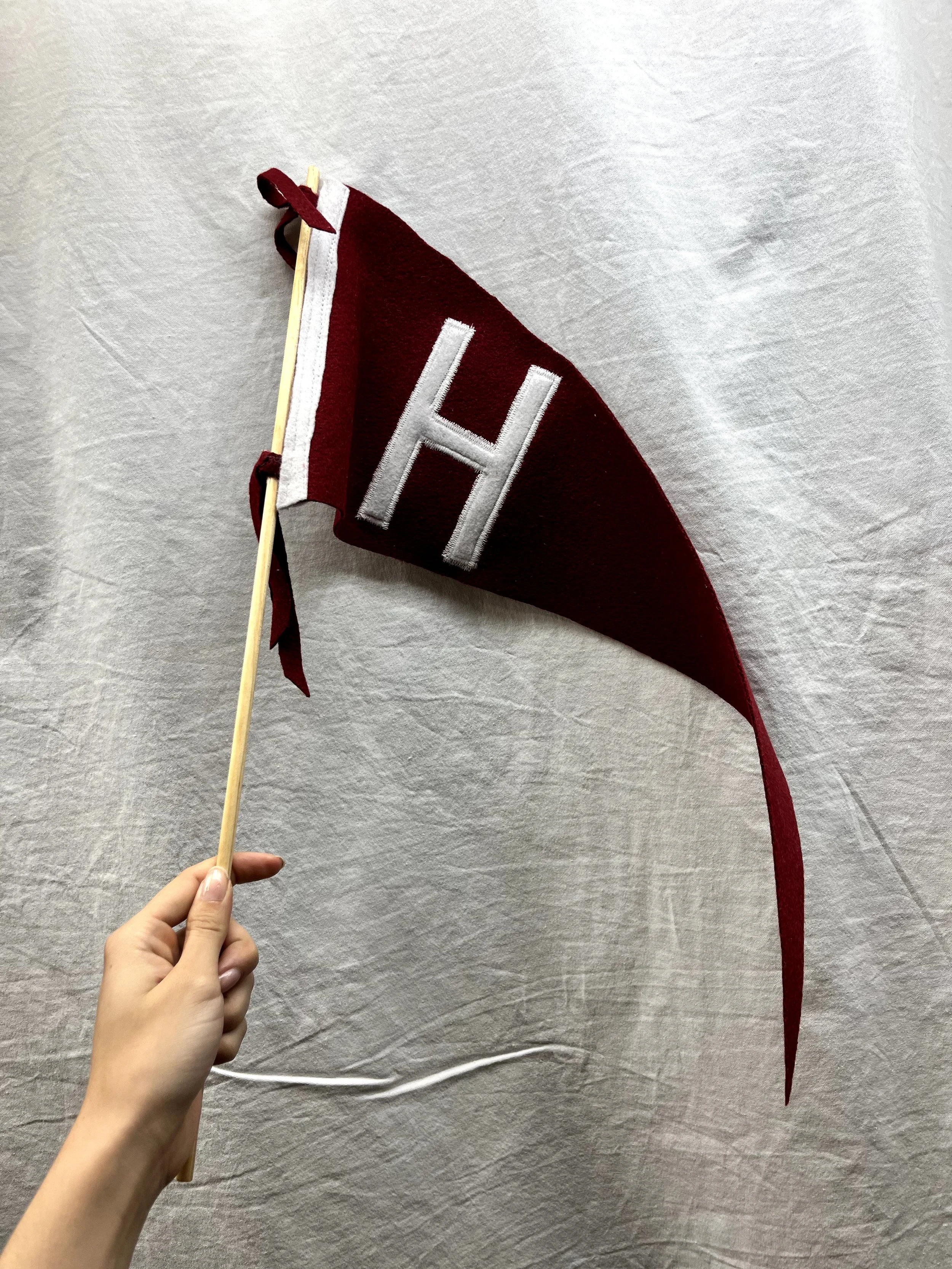 School Pennants