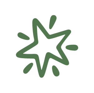 Daily Randi star brand element representing Instagram growth excellence