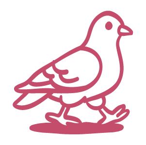 Icon representing Instagram results - inquiries, clients, and sales