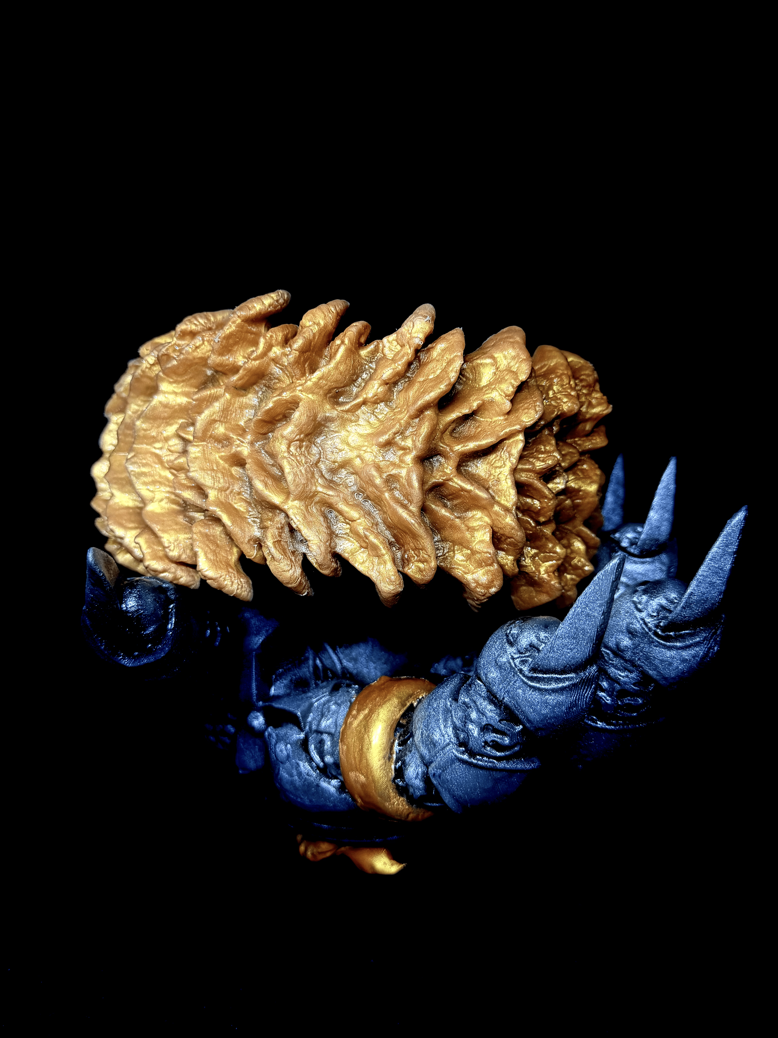 IMG_0097.png