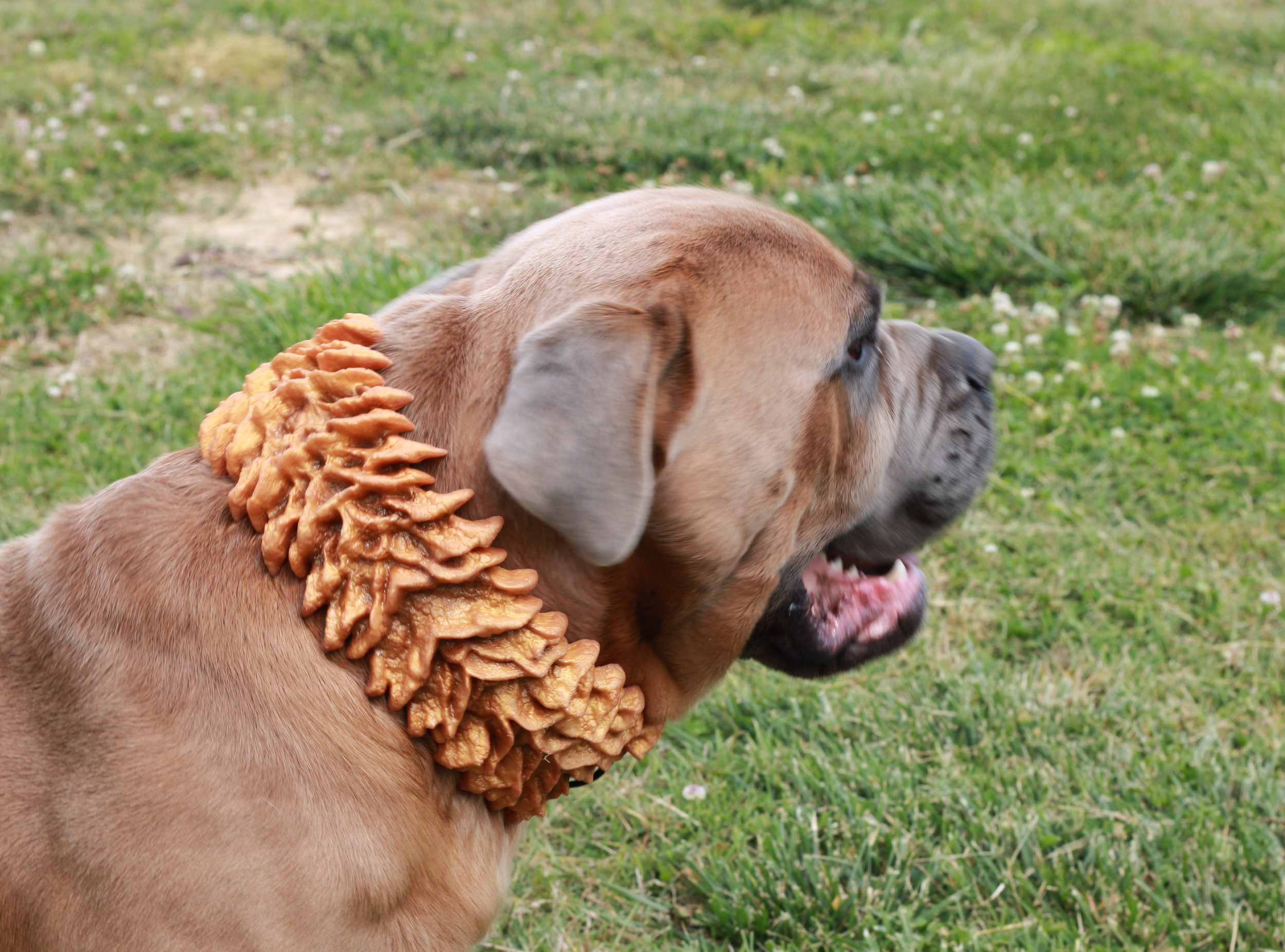 File_000.png