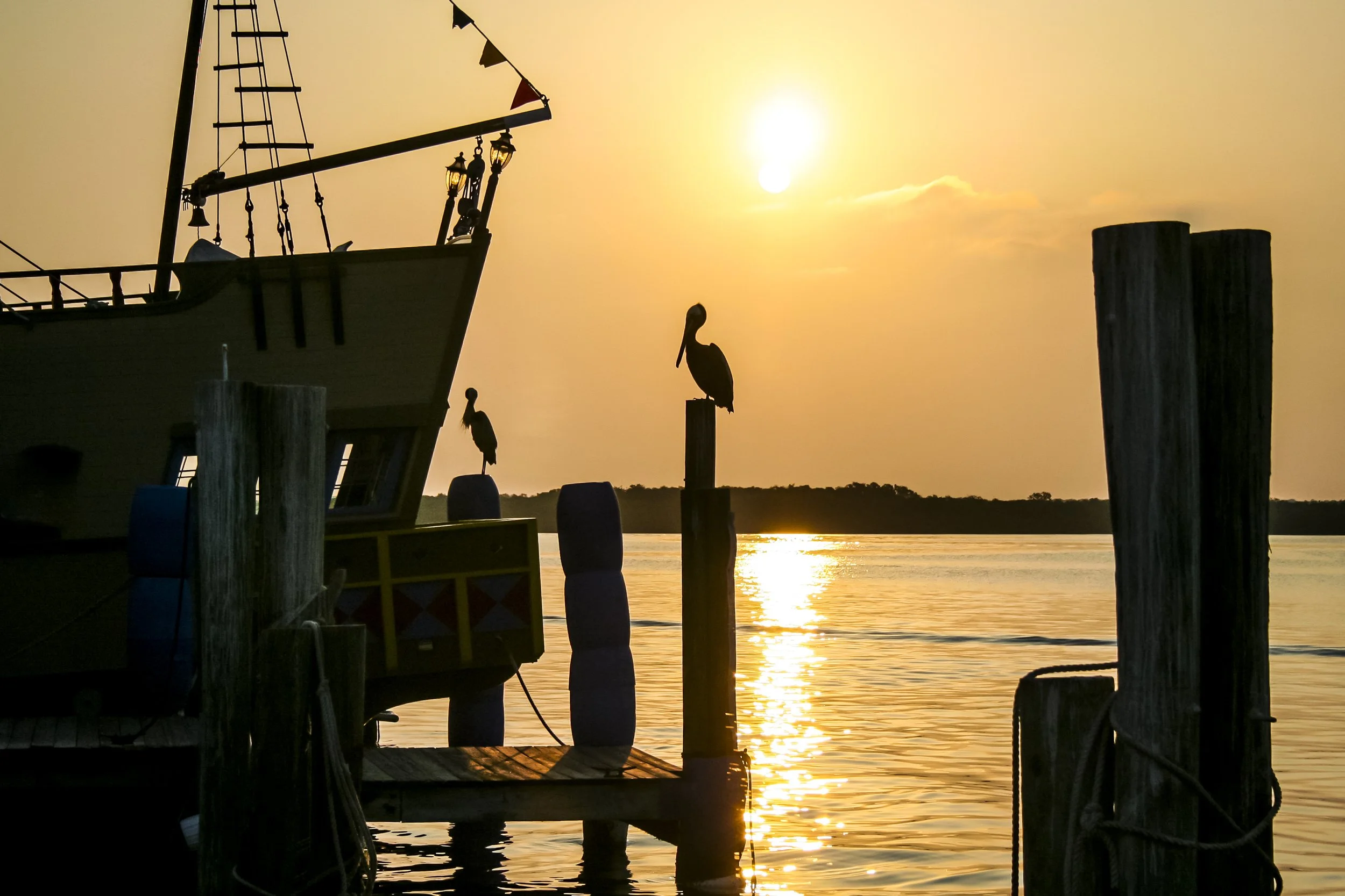 Silhouettes of three pelicans perched on posts at a dock during sunset, with a boat moored nearby and the sun reflecting on the water.
