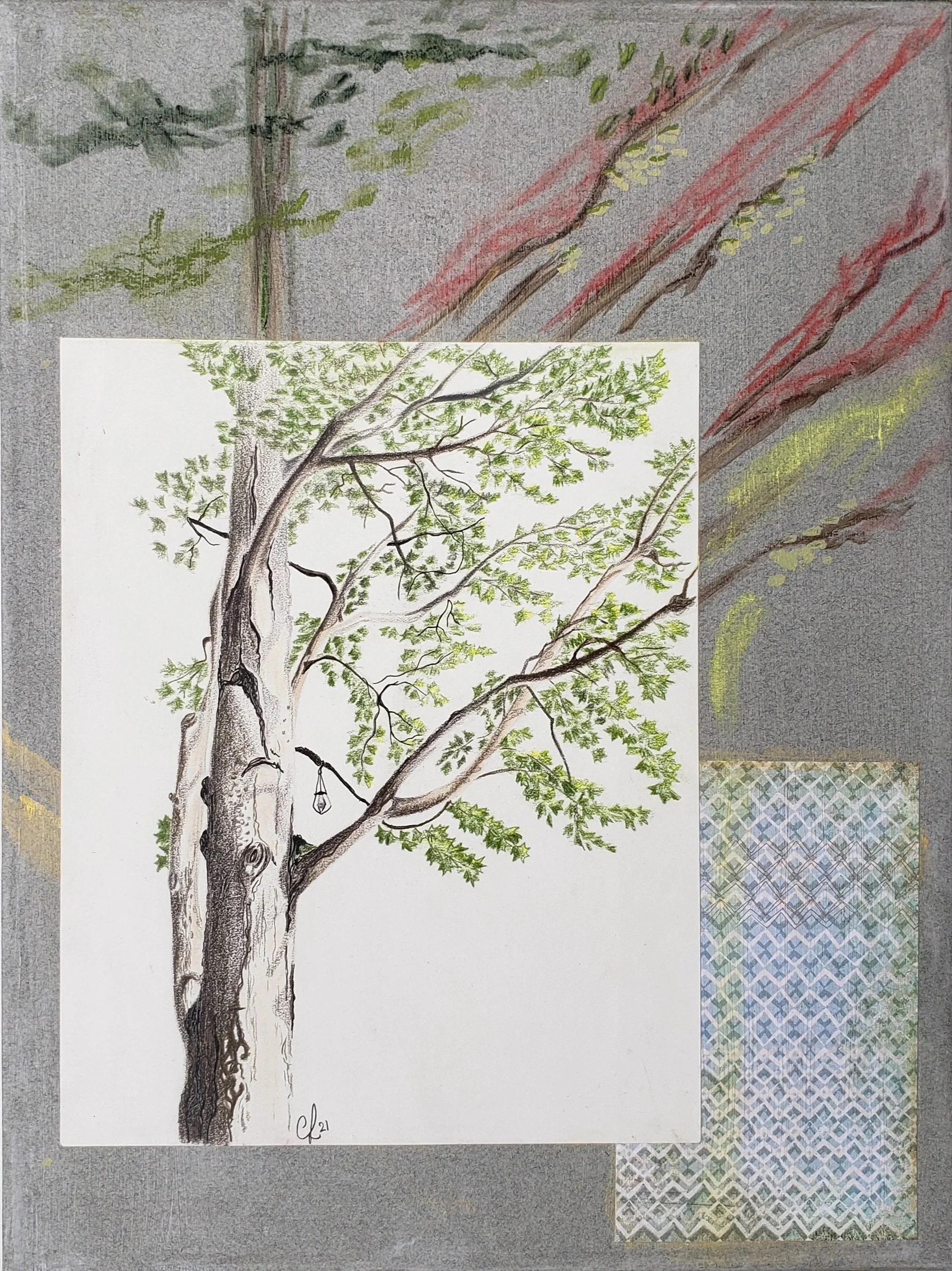 Érable tranquille, 2021