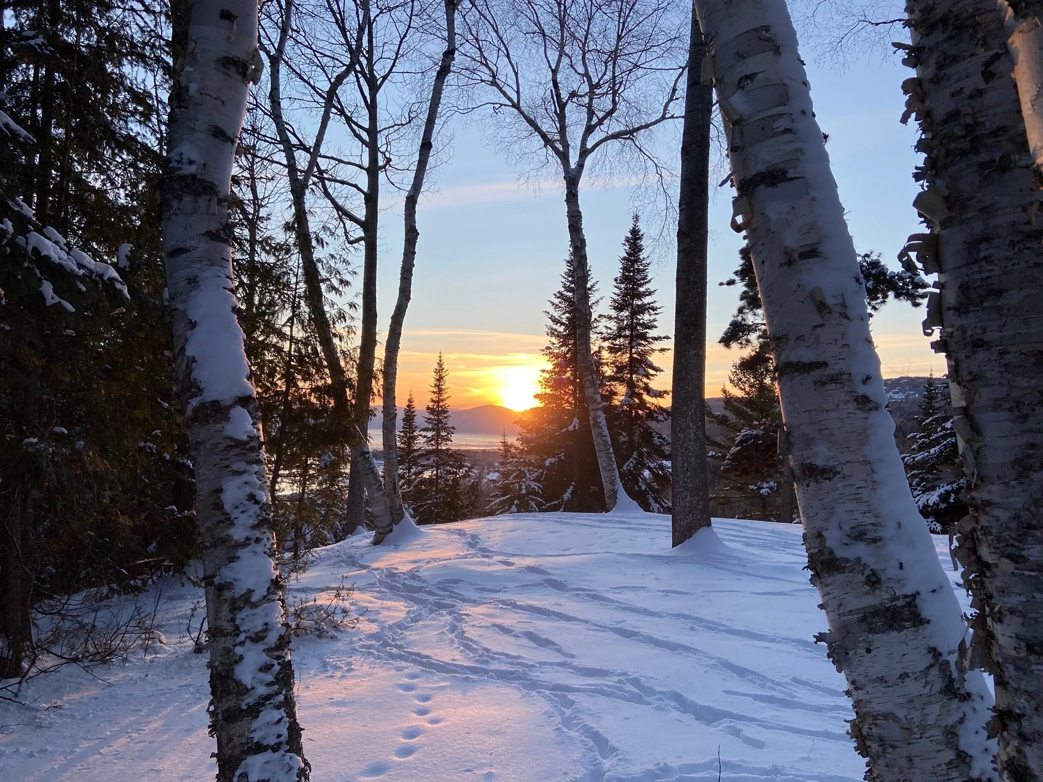 Photo: Martine Withing