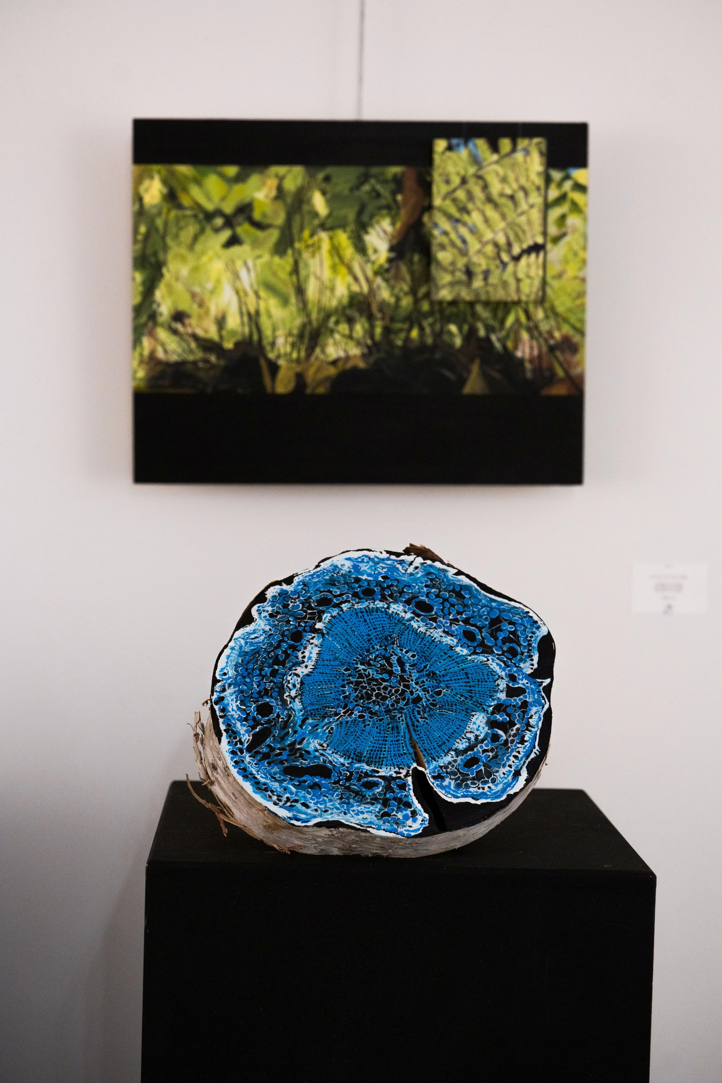 Je suis une fougère, 2021.
Photo: MB Photographe