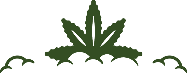 A stylized depiction of a marijuana leaf.