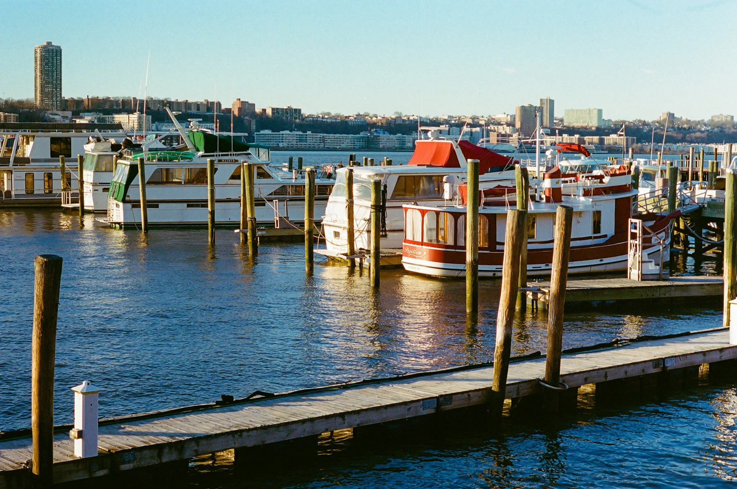 Several boats moored at a marina dock with city buildings in the background on a sunny day.
