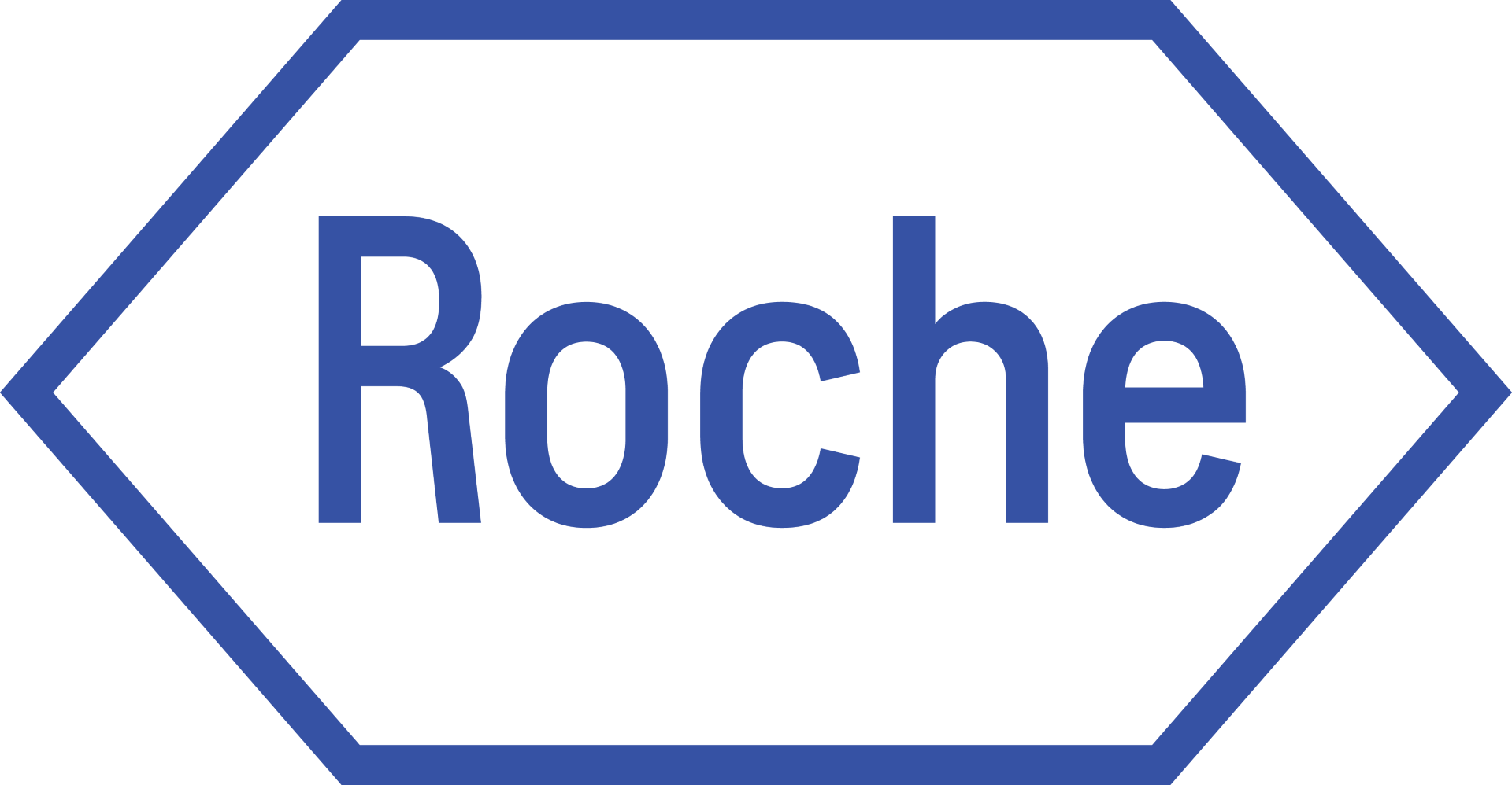 Roche Diagnostics Logo