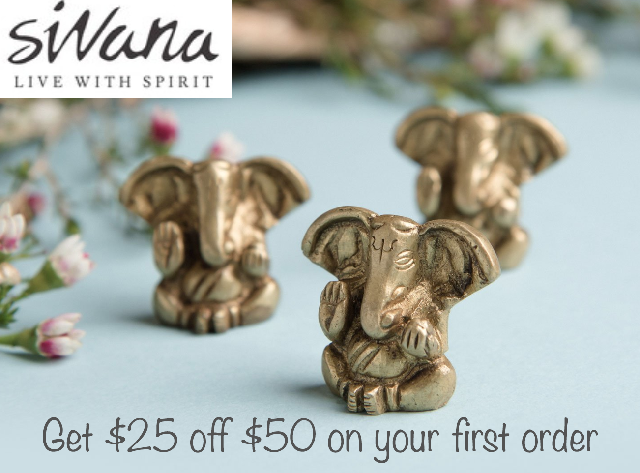 Sivana Spirit (Copy)