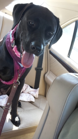 Hope, ready for fun!