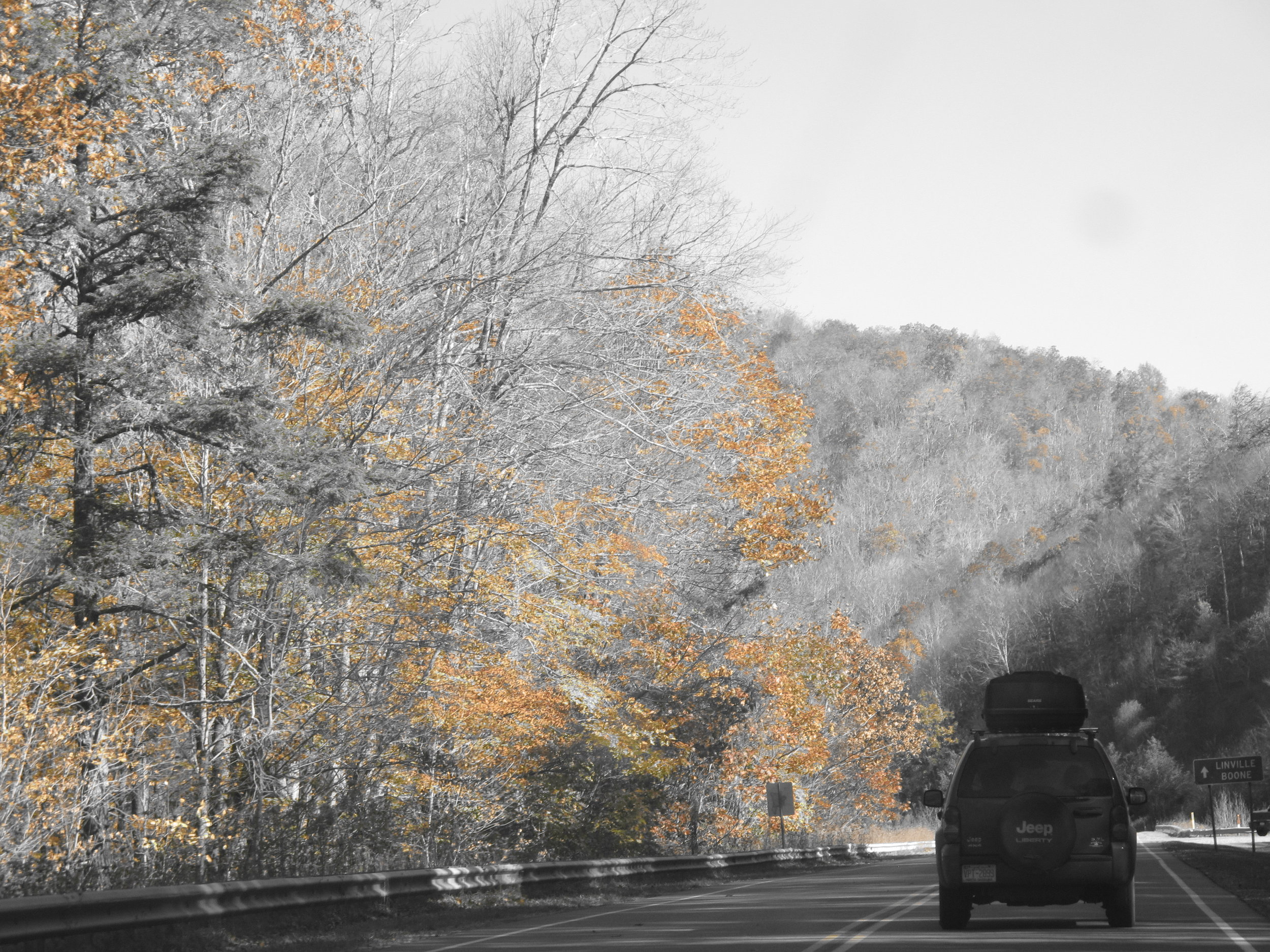 What Irma Taught Me About the Passage of Time