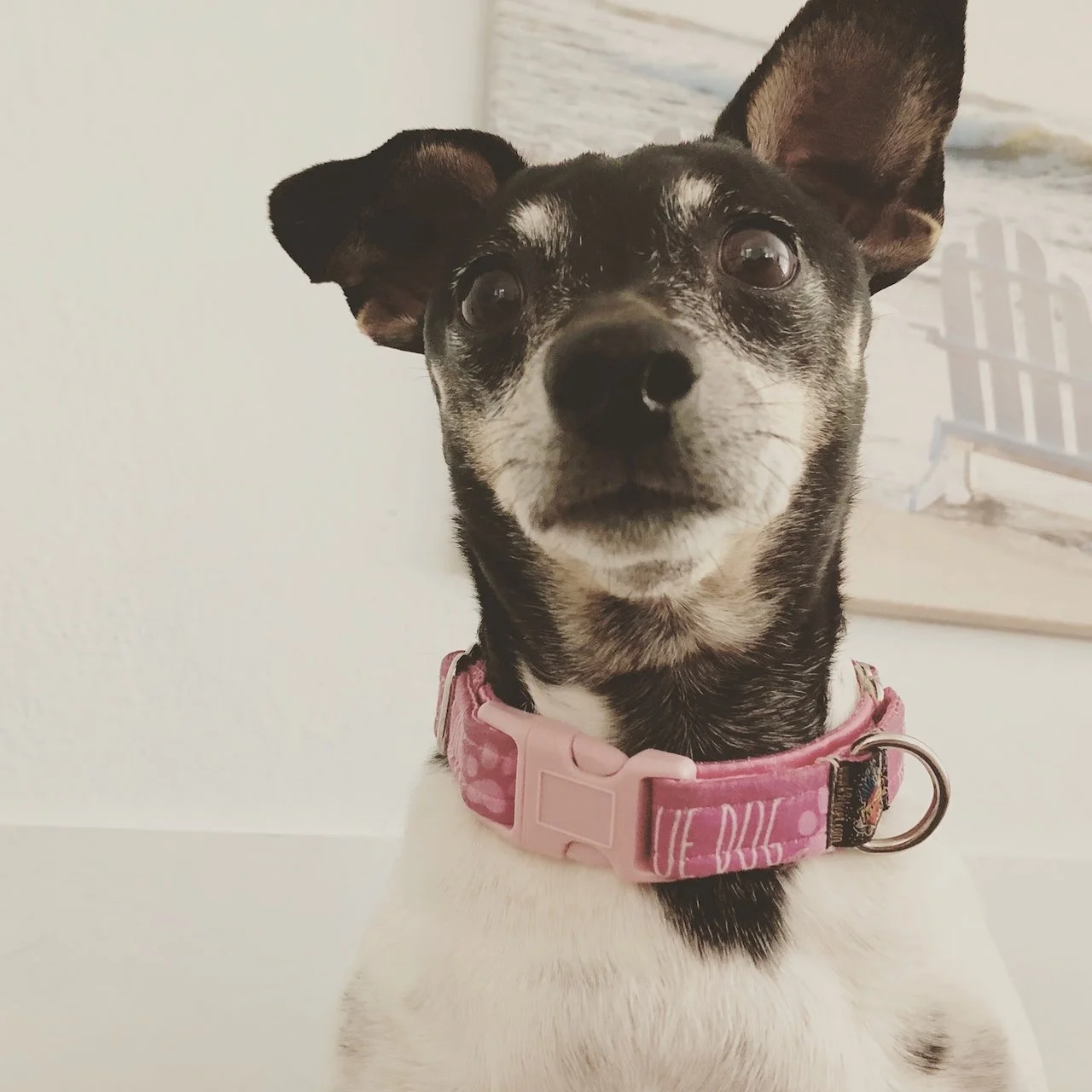 When You Can't see Your Shadow