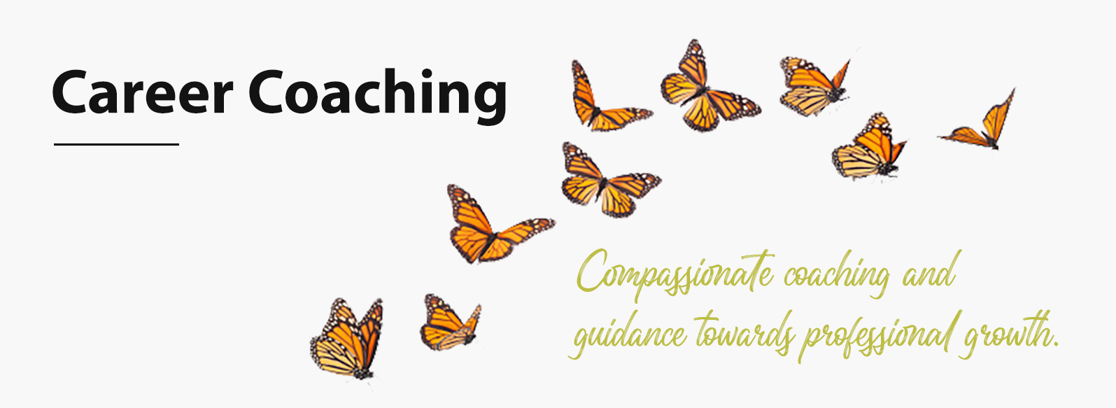 career coaching - compassionate guidance towards professional growth