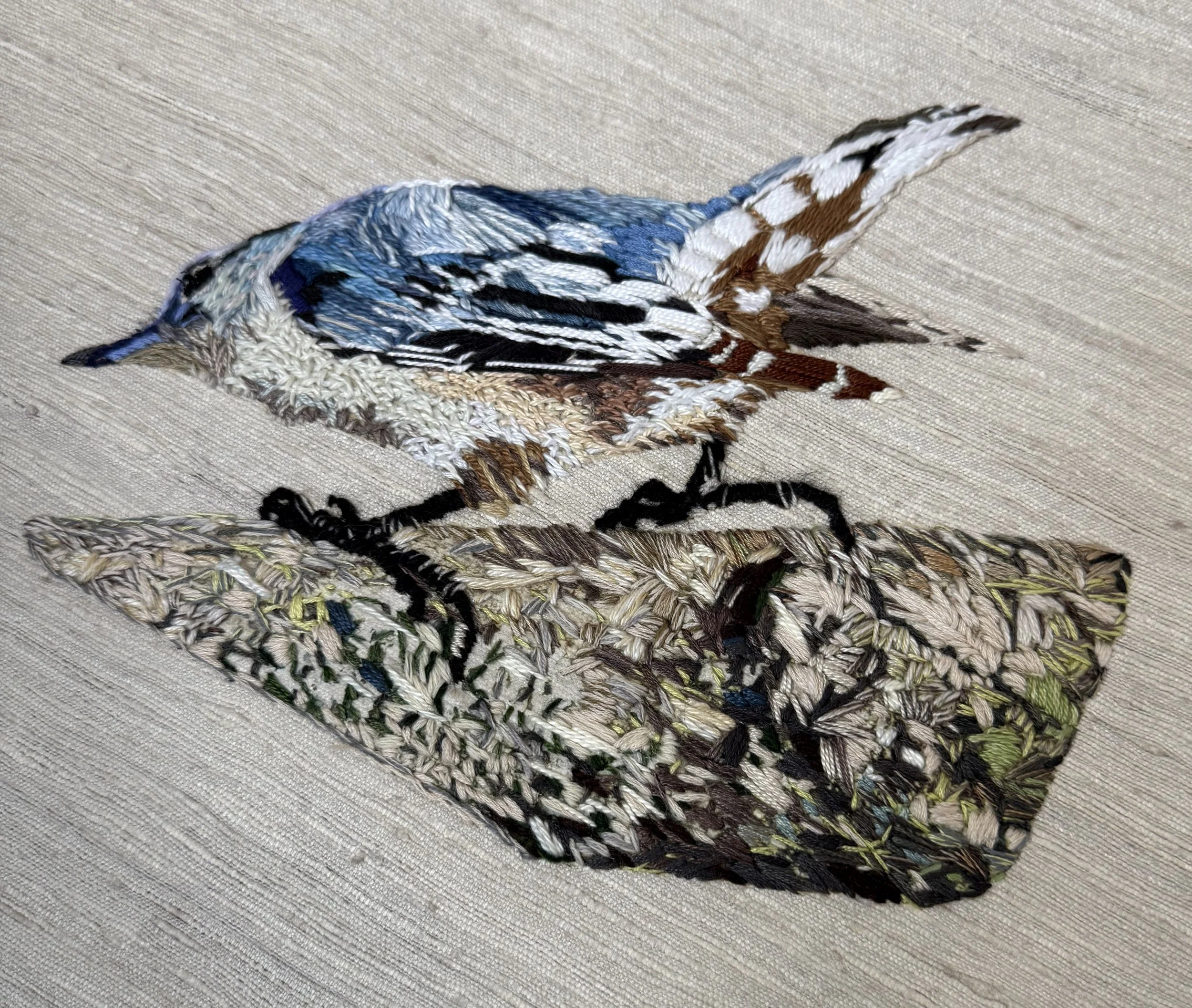 Nuthatch