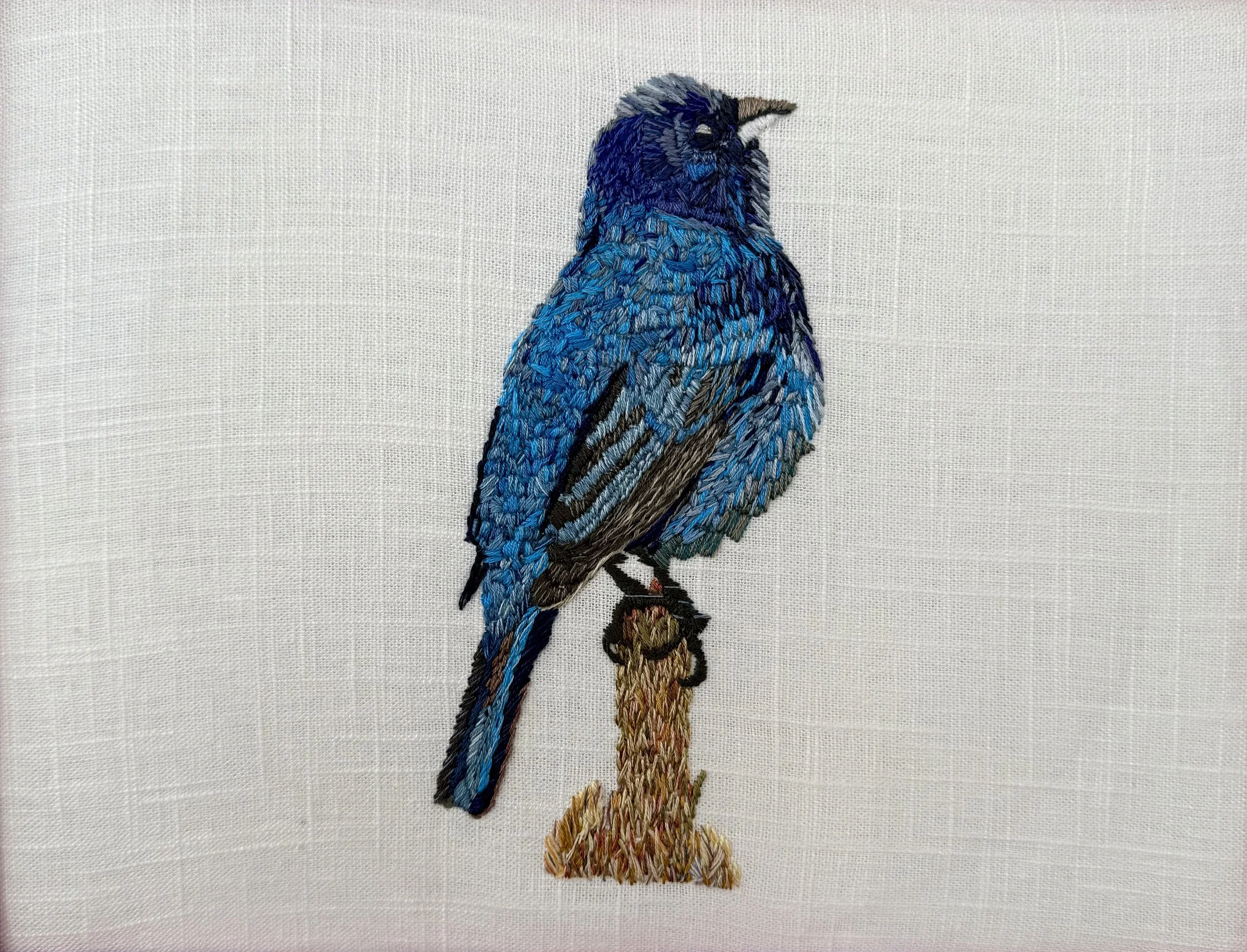 Indigo Bunting