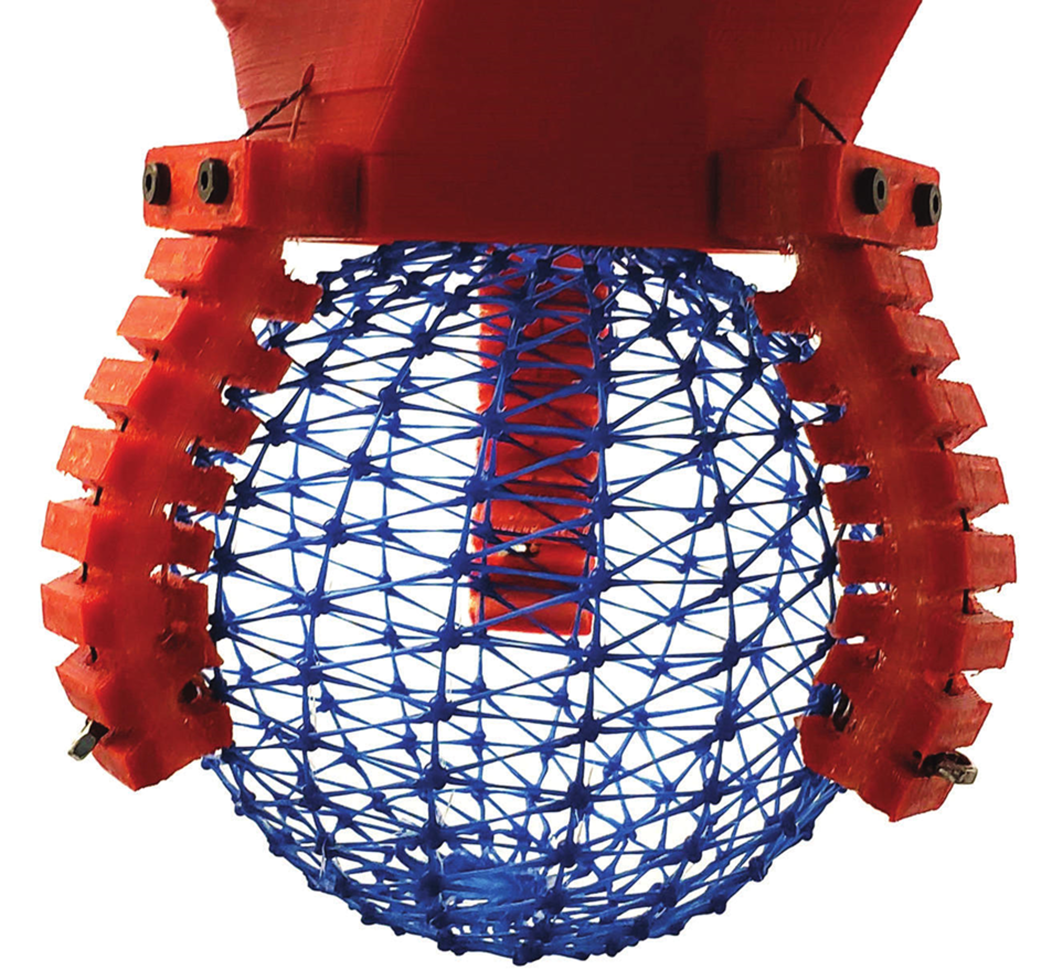 Tendon-actuated gripper printed on the MAMMAMIA with selectively tuned part stiffness