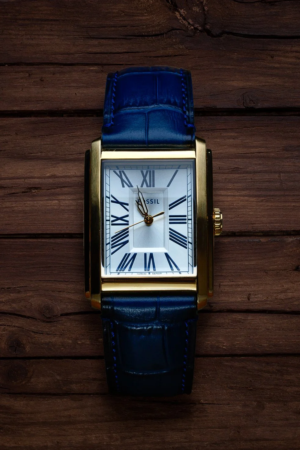 fossil front wood.jpg