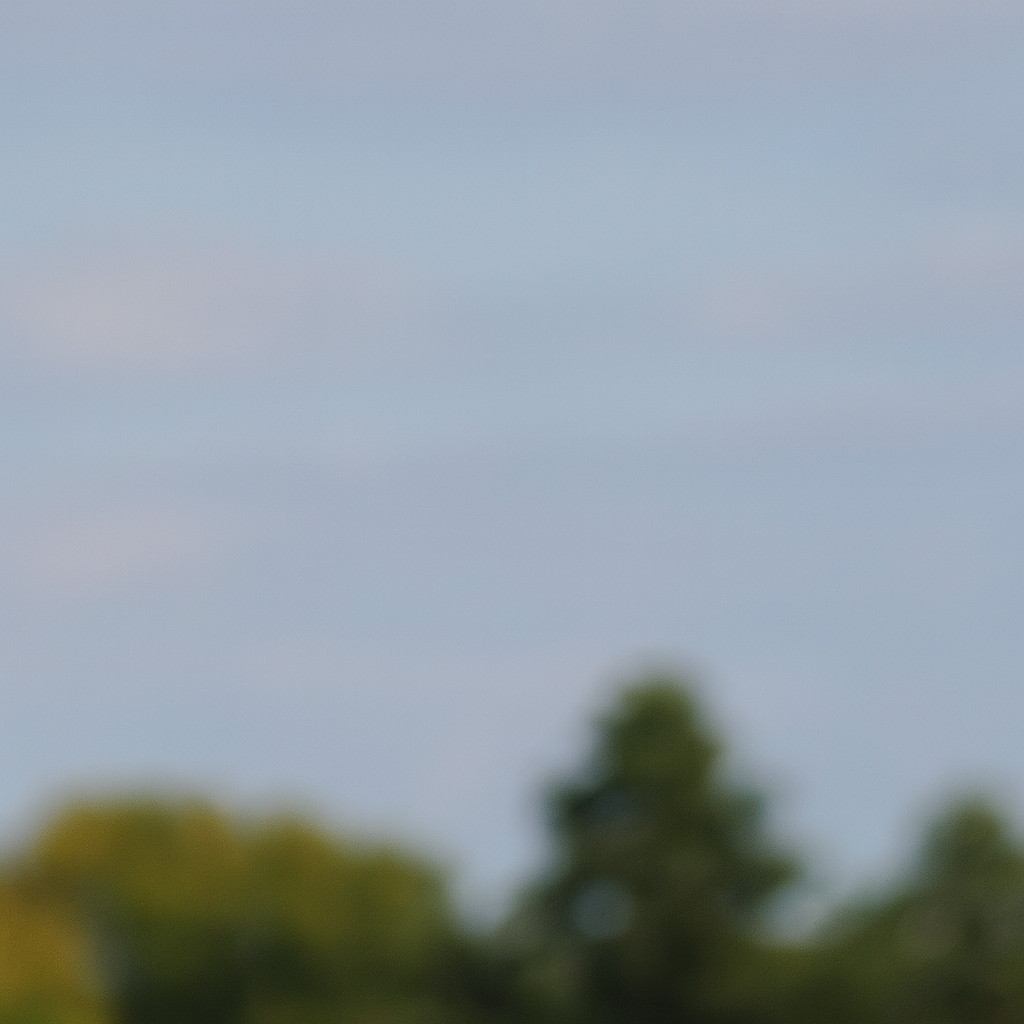Blurred image of trees and a cloudy sky.