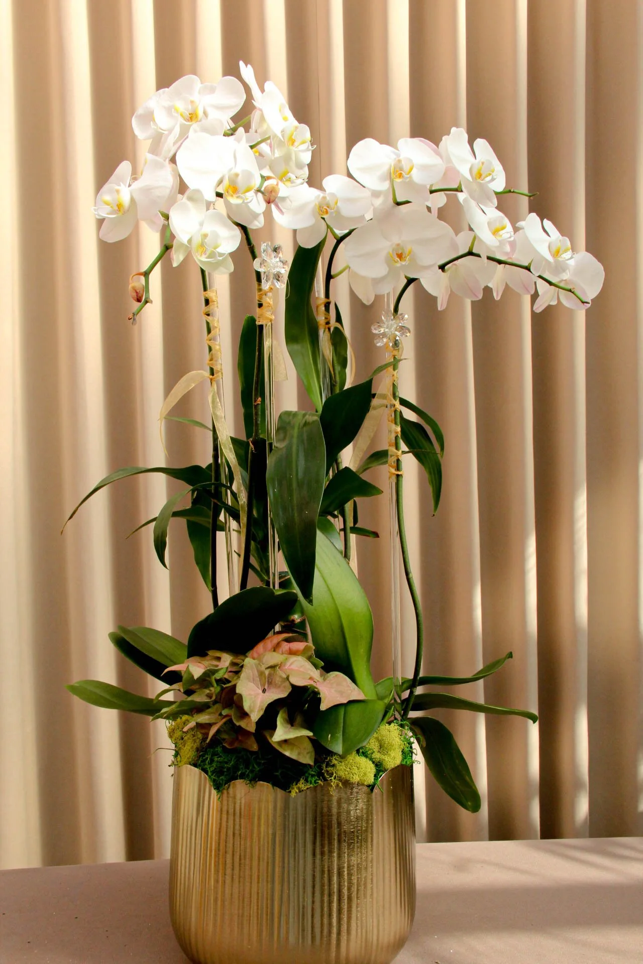 IMG_8713-3-4.jpg
