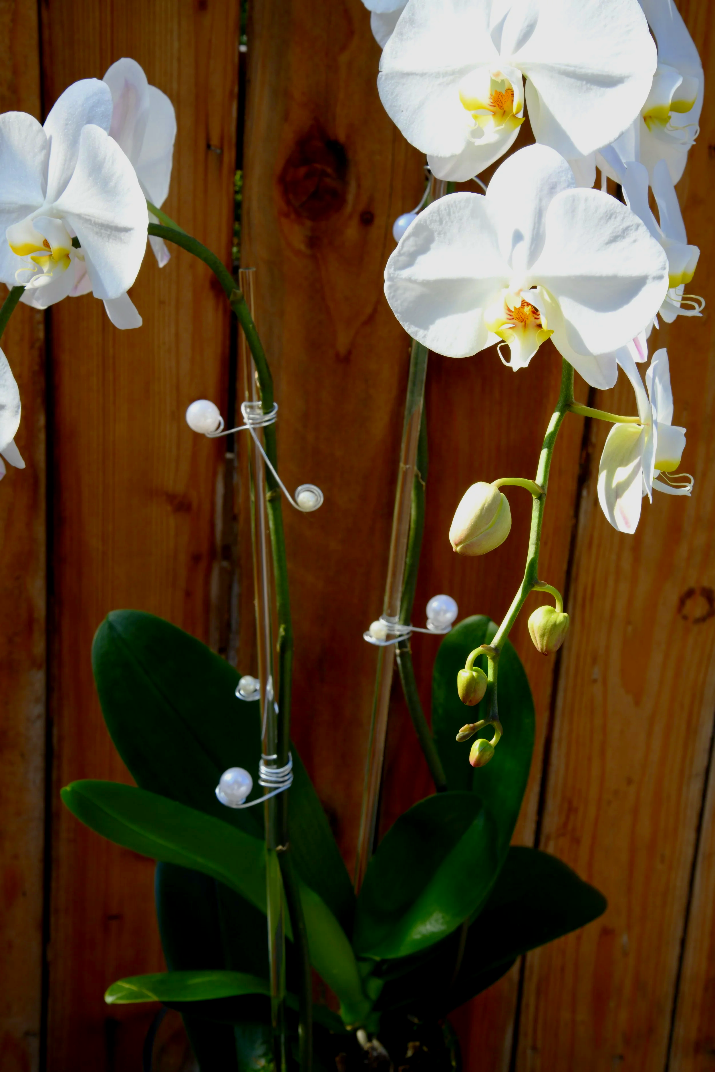 DSC_7768.png