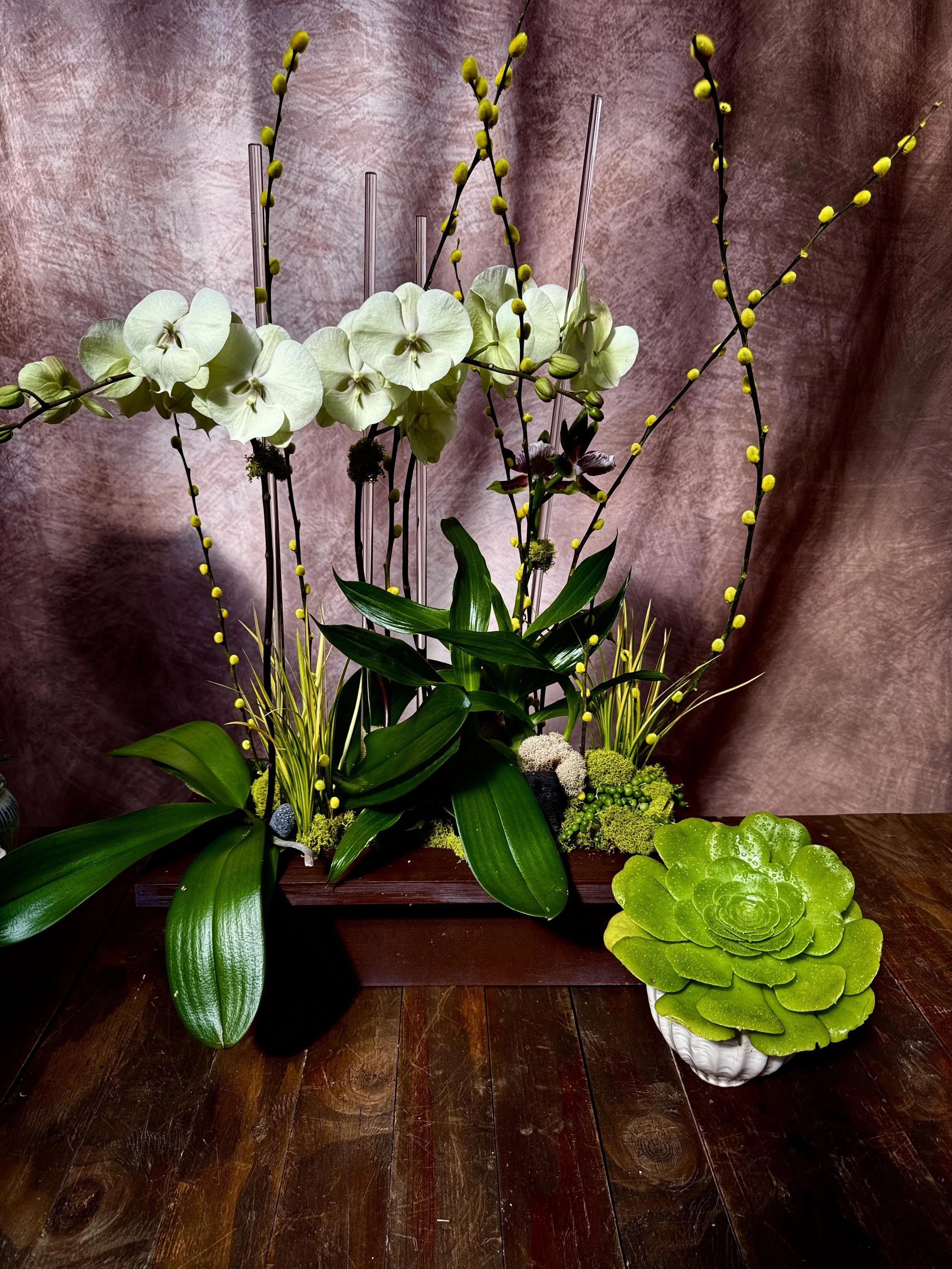 Orchid Arrangement in Wooden Pot