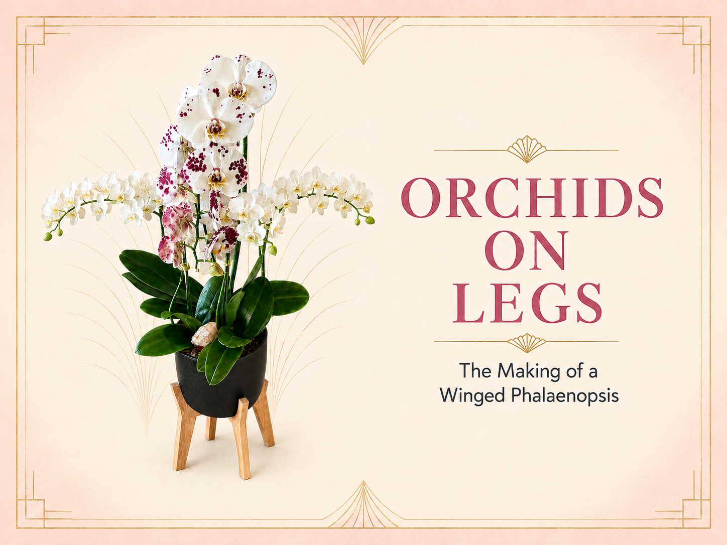Orchids on Legs