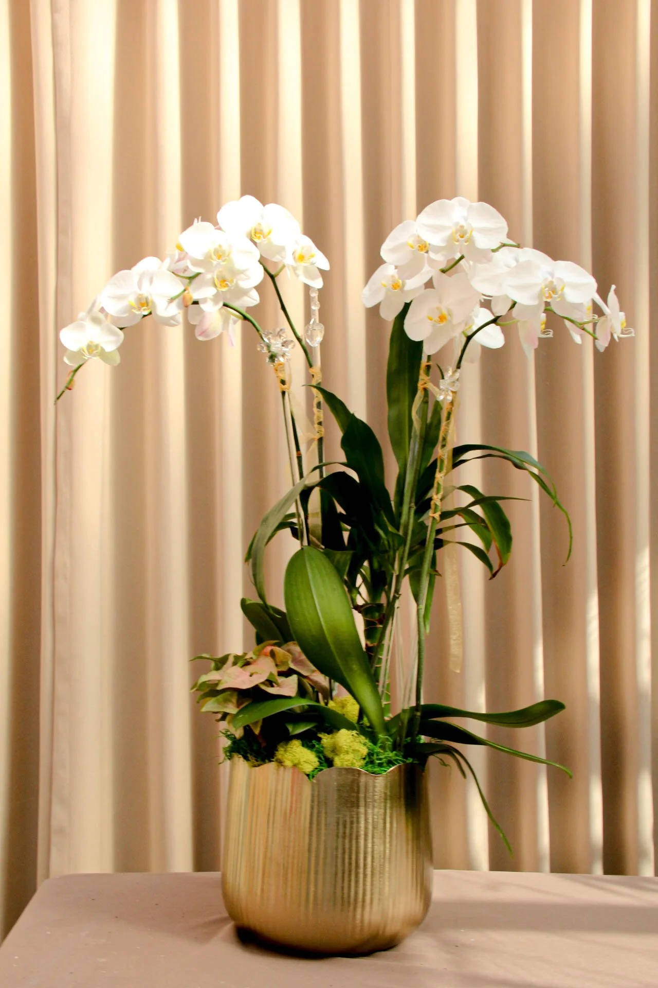 IMG_8709-3-1.jpg