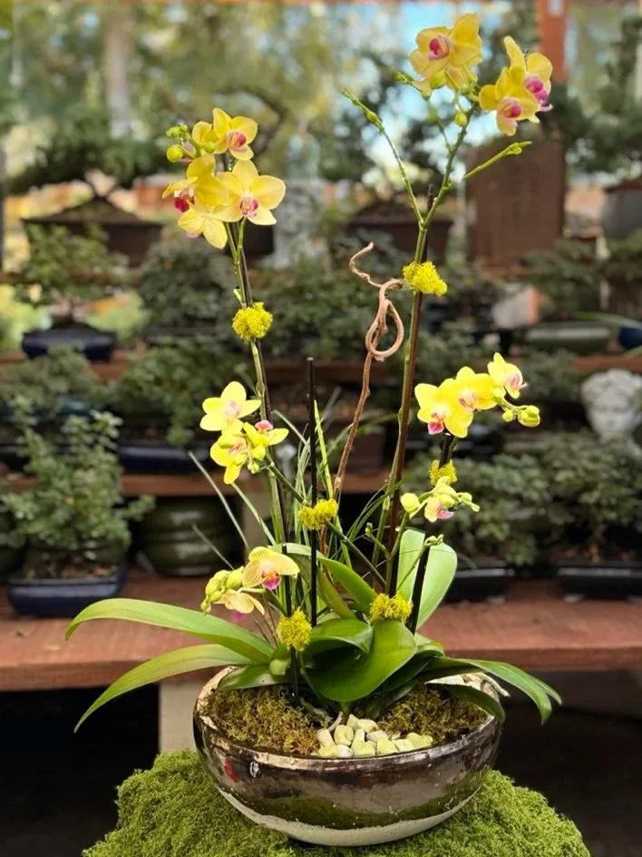 BLOOM TOGETHER - Orchid Workshop