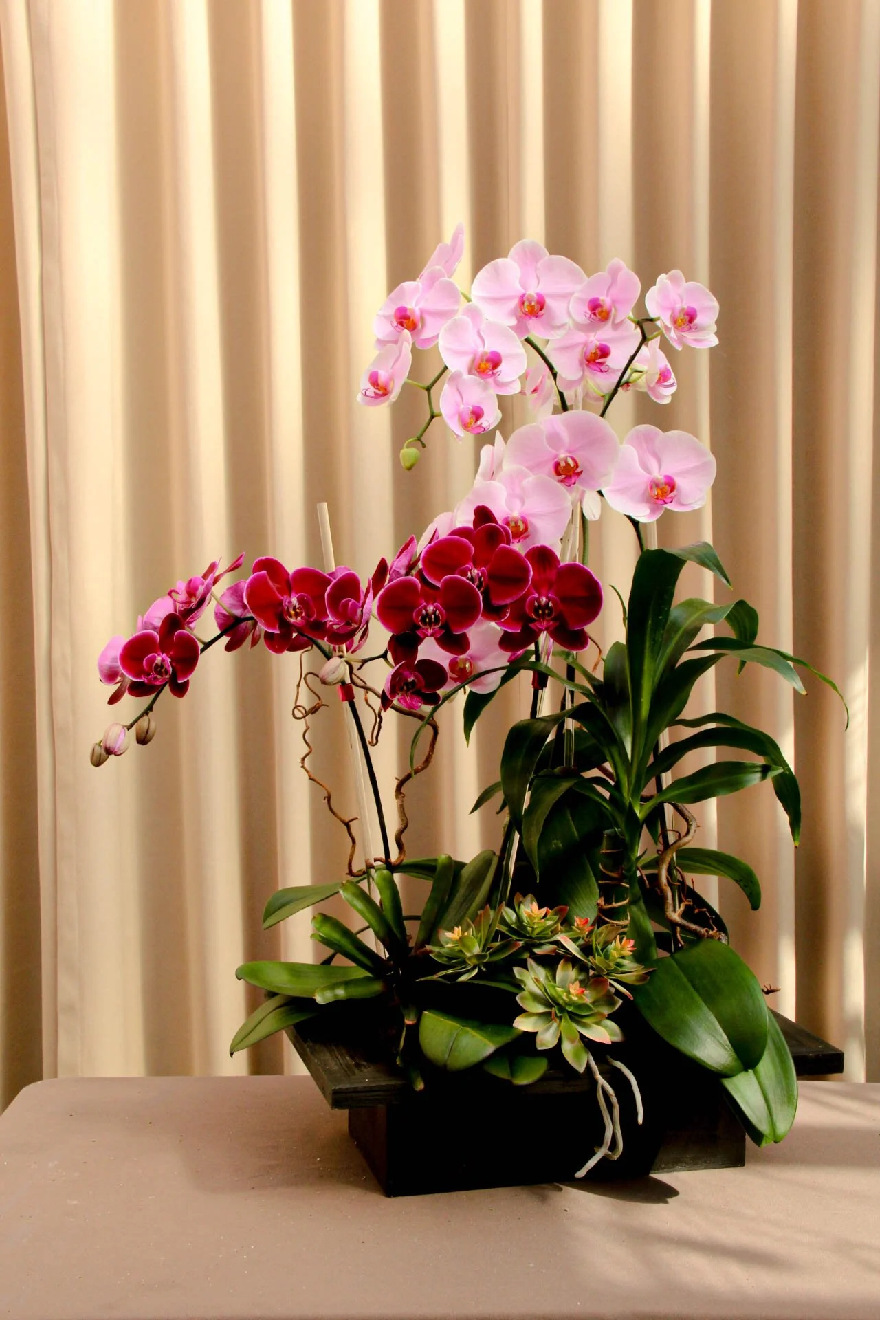 IMG_8715-3-6.jpg