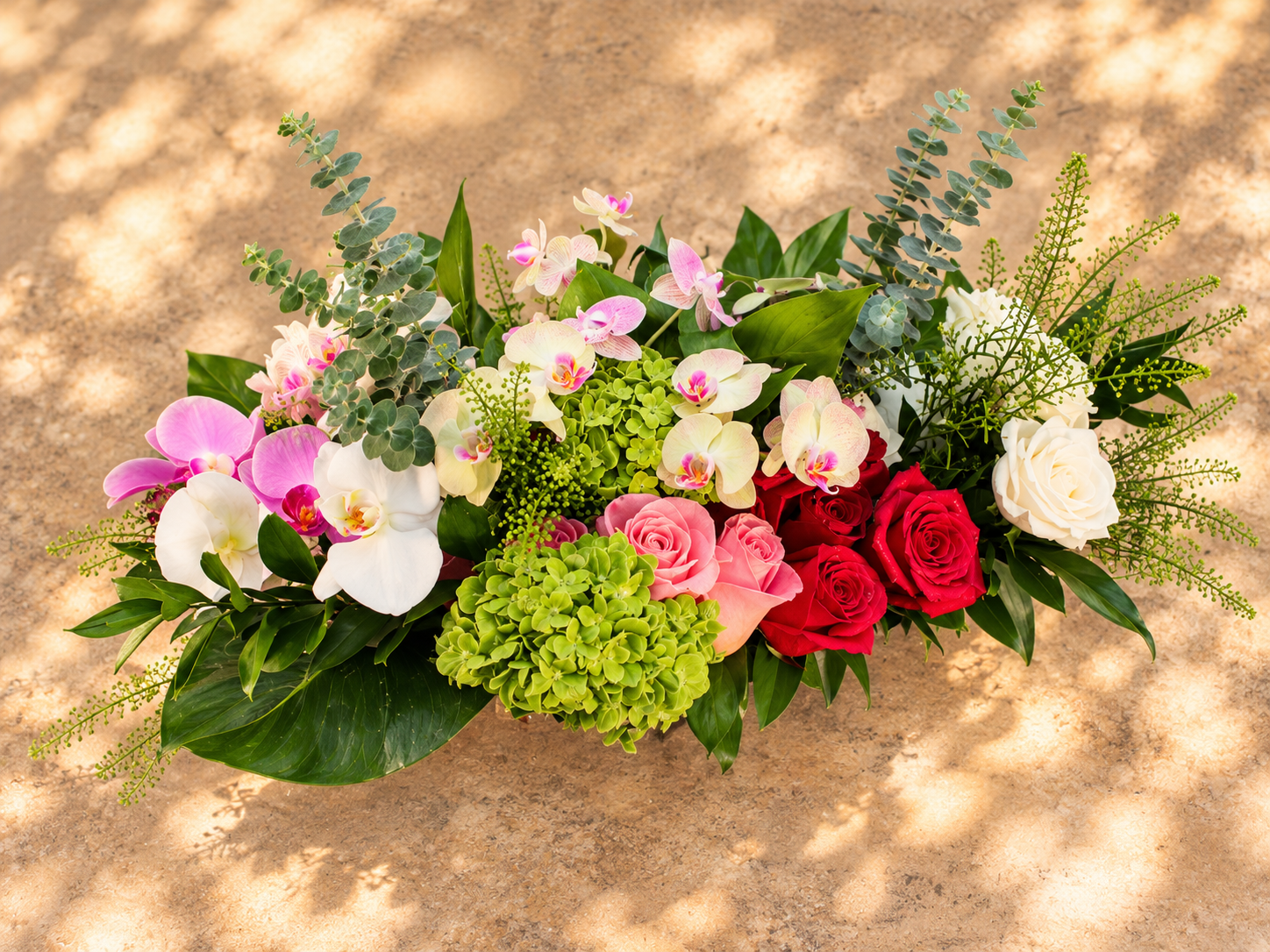 image-gen-2(20261004-231548).png