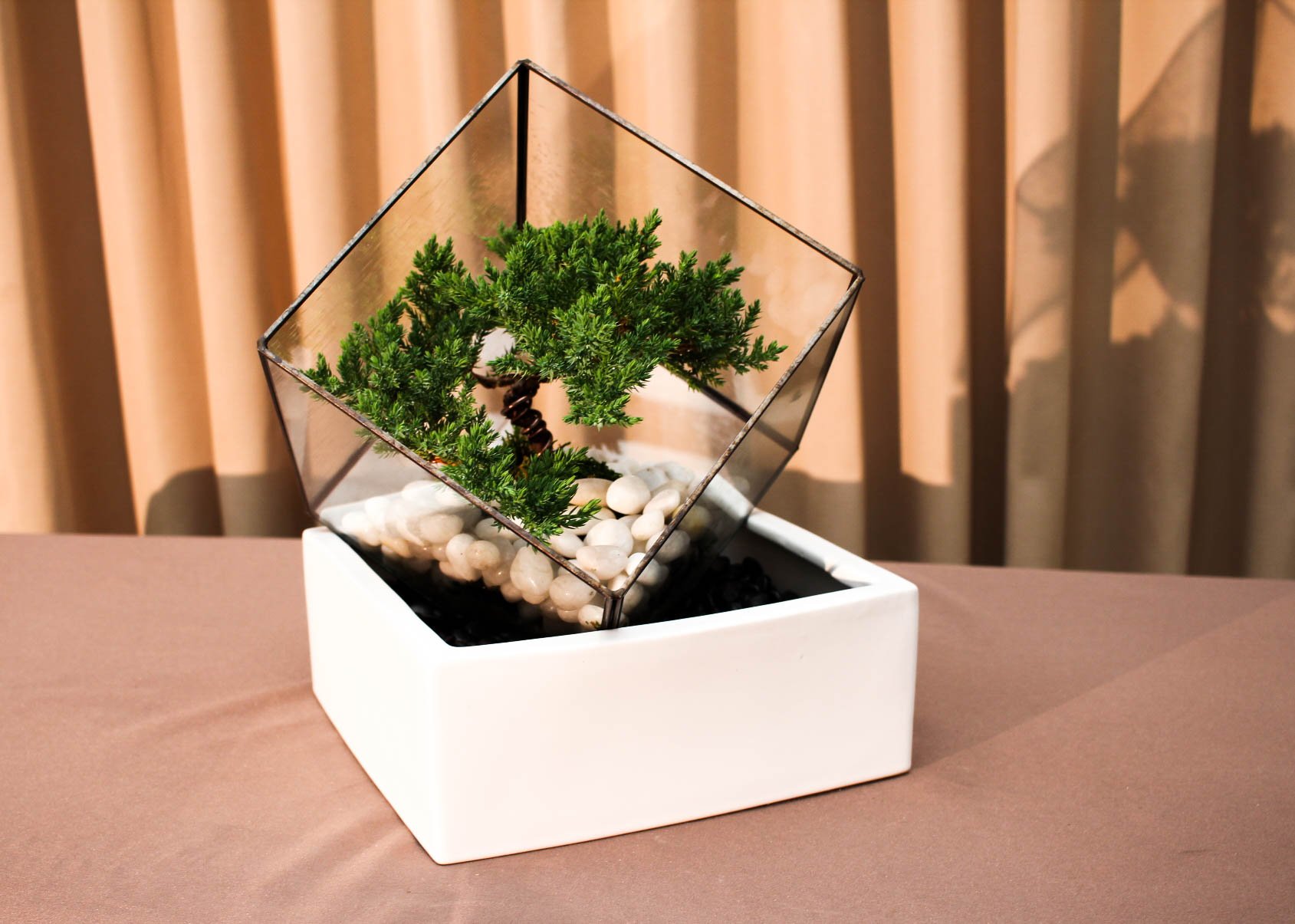 Square Glass Juniper
