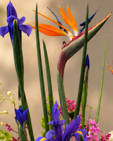 Tropical+Garden+Floral+Centerpiece.png