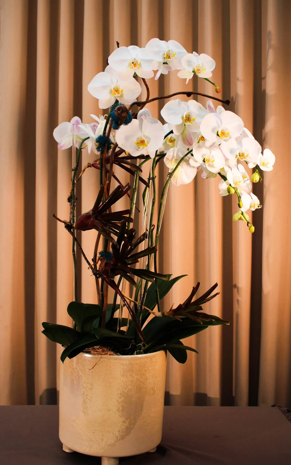 Ivory Cascade