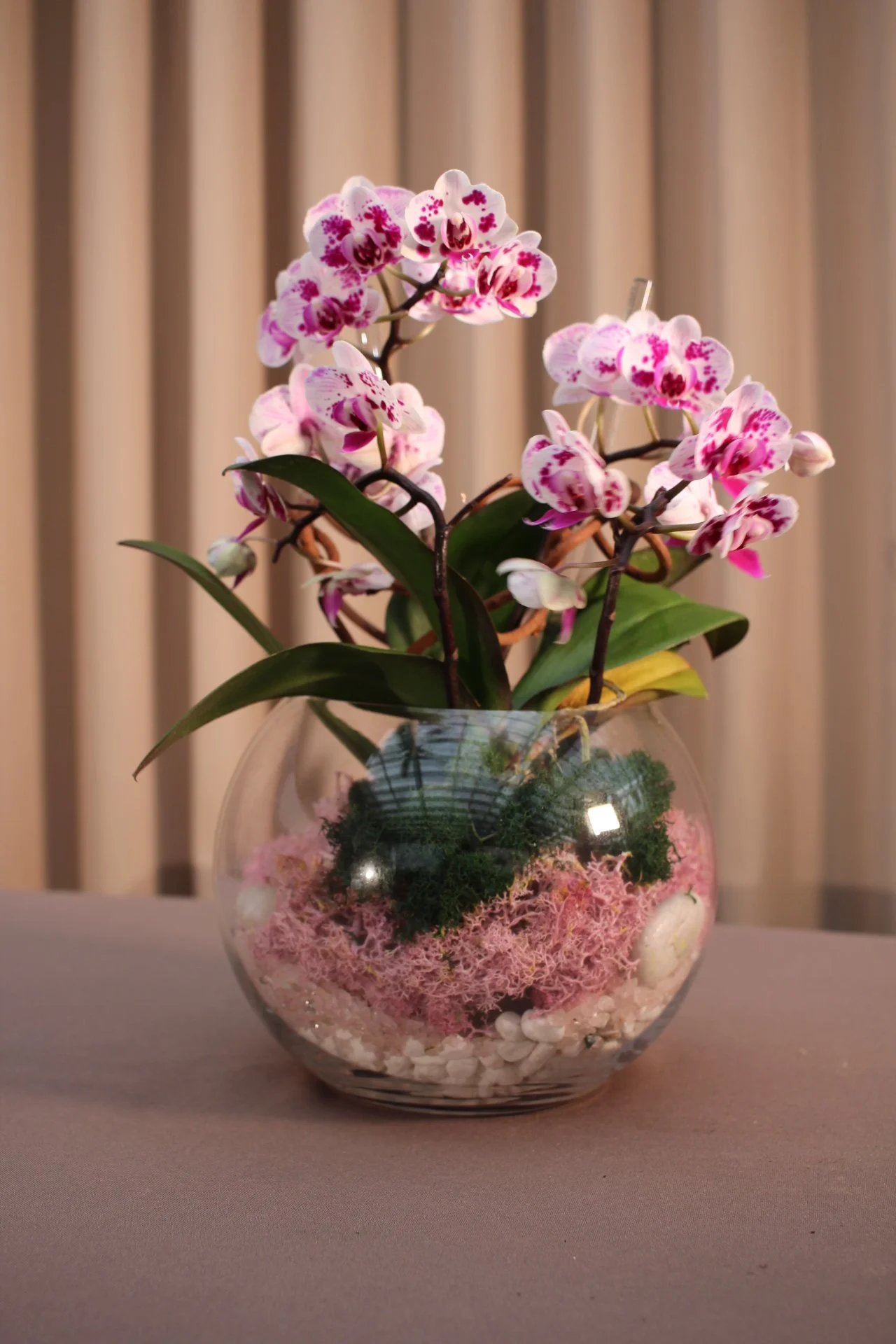 Rose Quartz Orchid