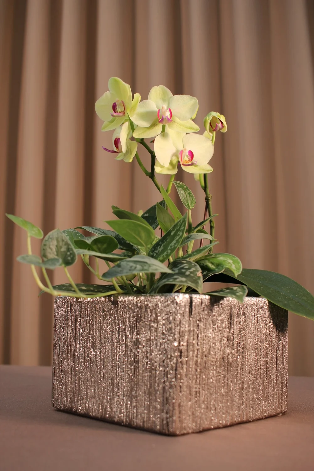 Chic Floral Designer