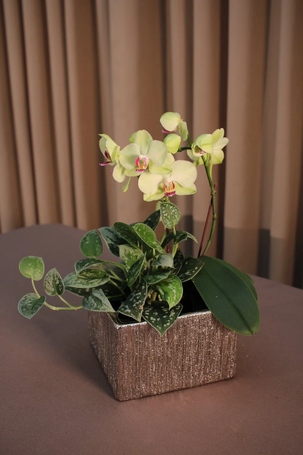 Chic Floral Designer