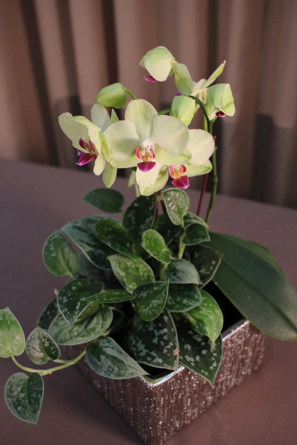 Chic Floral Designer