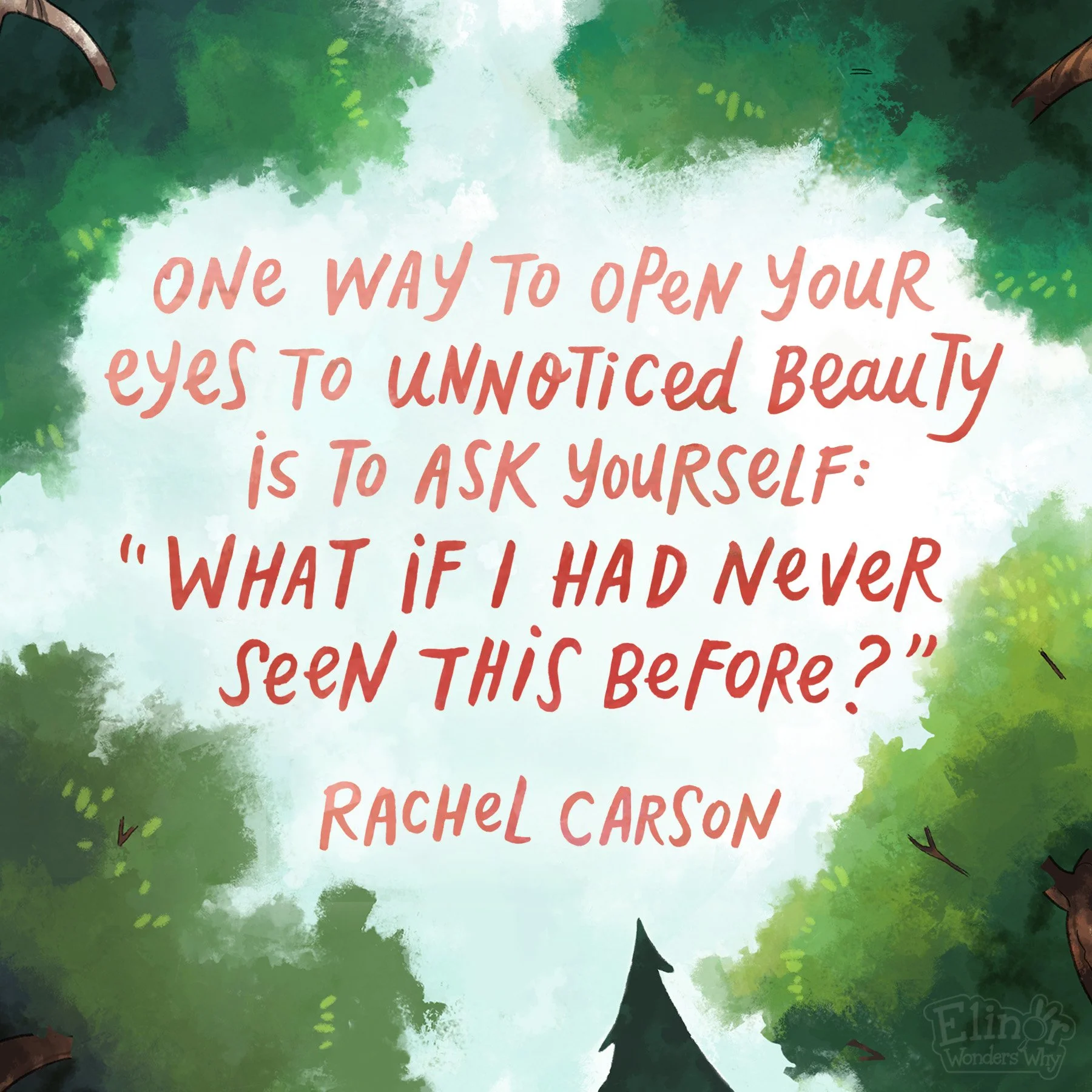 Rachel Carson - a scientist, prolific writer, and a pioneer in the field of ecology. Her love of nature (particularly of the ocean and undersea life) led Carson to become one of the first people to write about the idea of conservation and environment