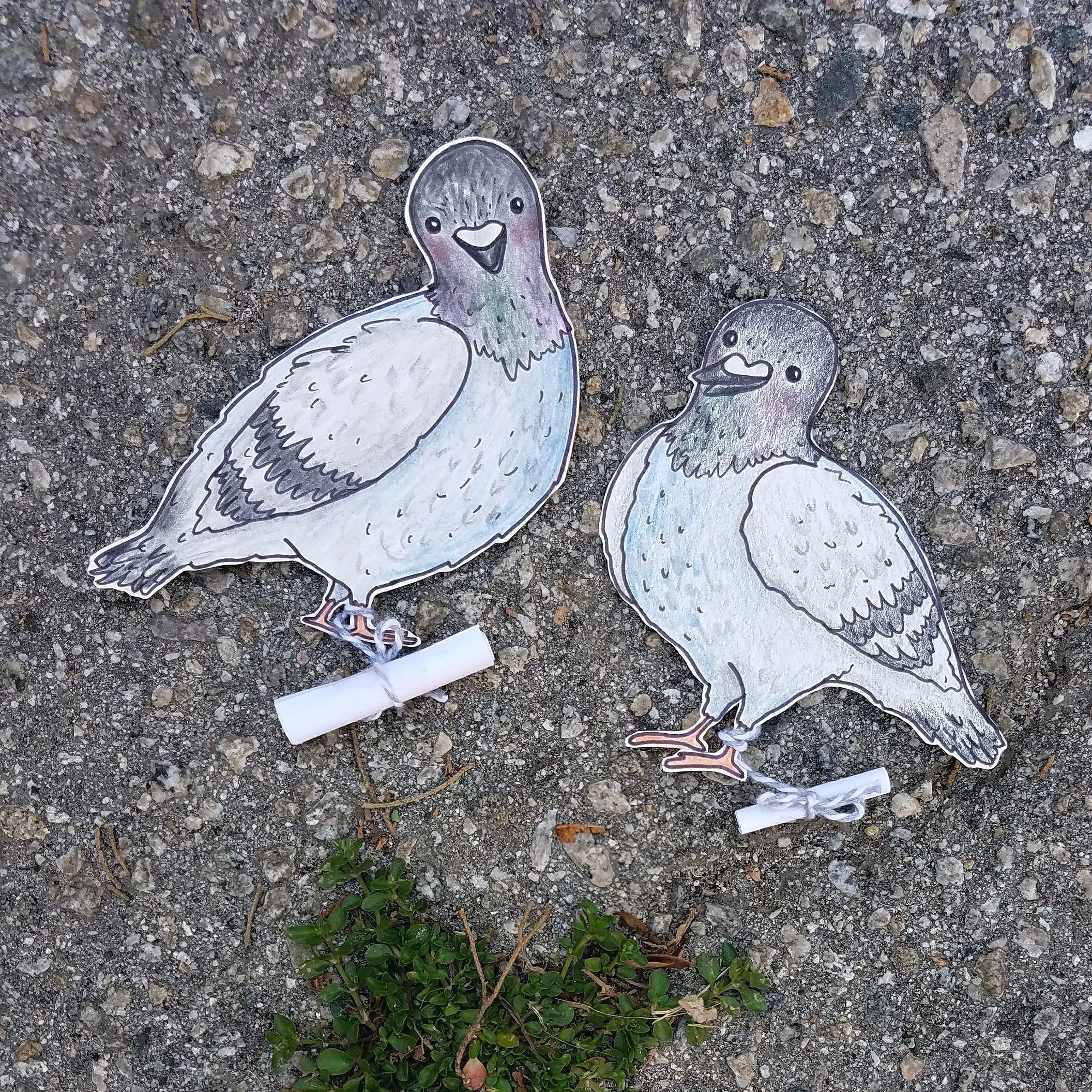 pigeon note passing, colored pencil & ink