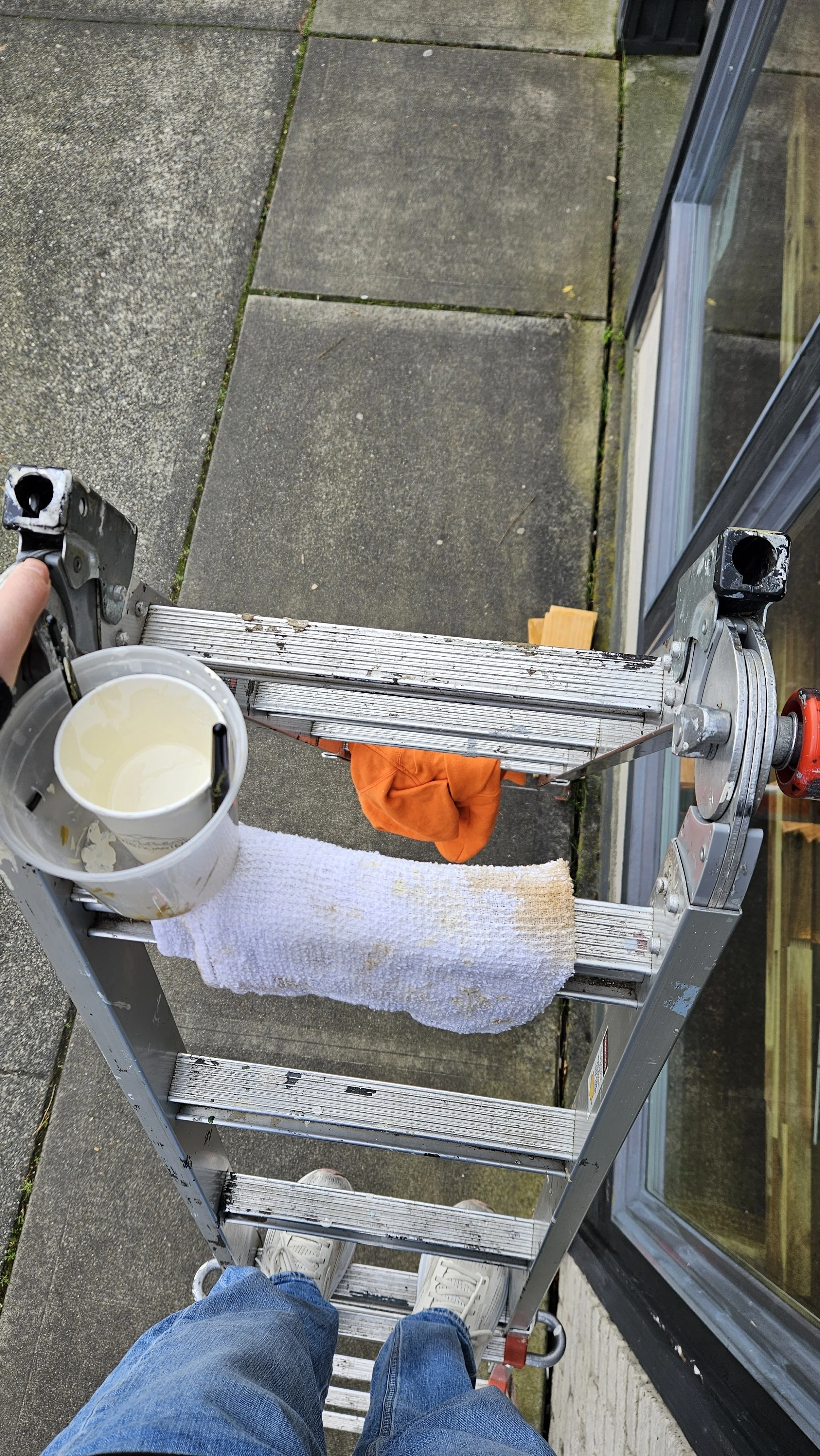 View from the top of the ladder! 