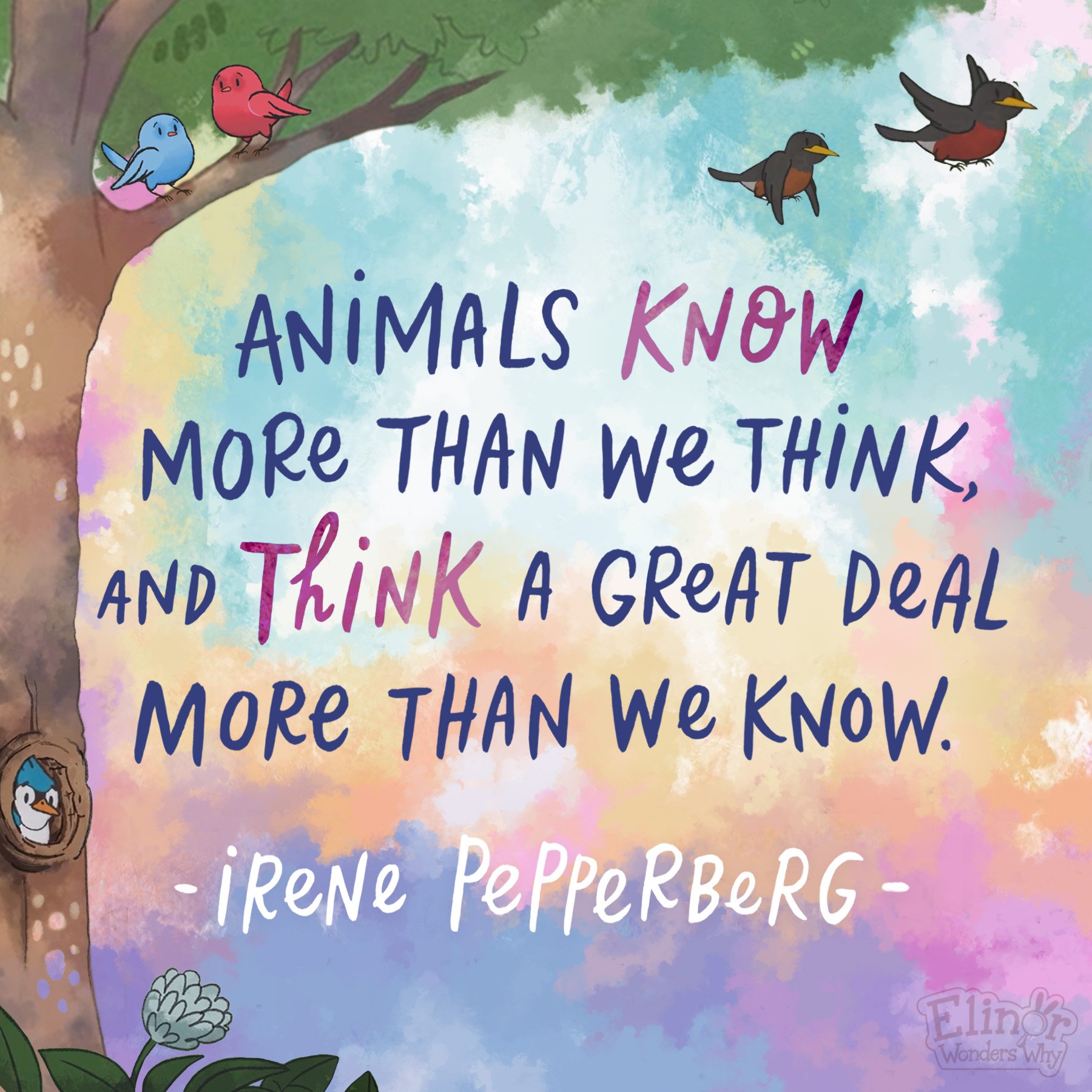 Irene Pepperberg - a scientist and professor who taught a parrot named Alex over 150 words, and discovered that parrots have the ability to answer questions and solve problems almost as well as a 5 year old human child! 