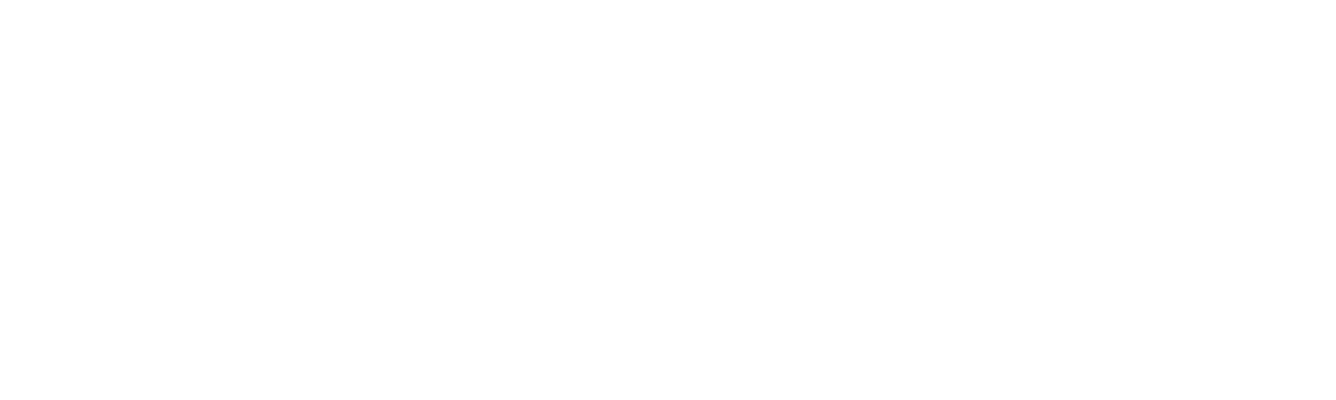 VisiFuse