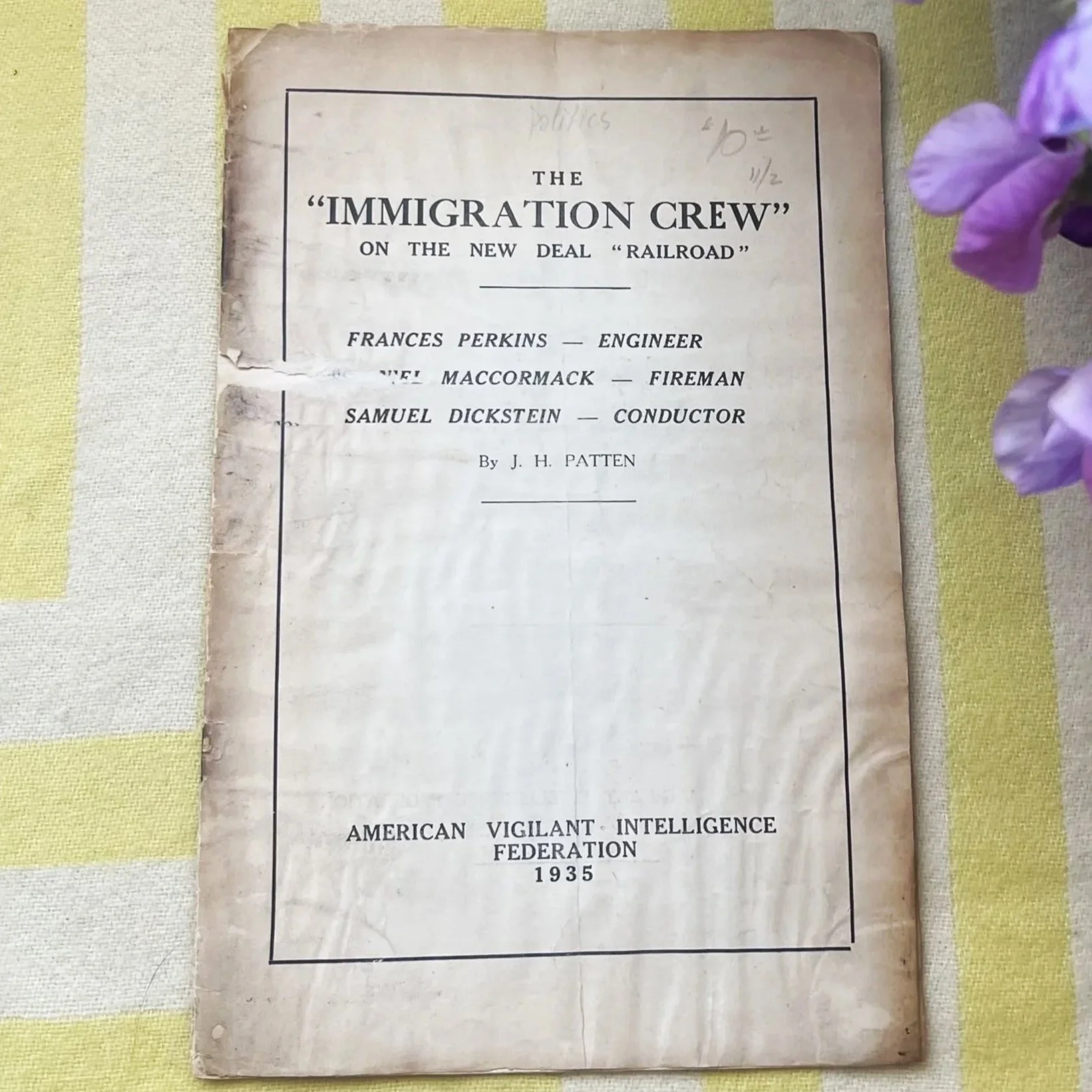 The "Immigration Crew" on the New Deal Railroad by J.H. Patton