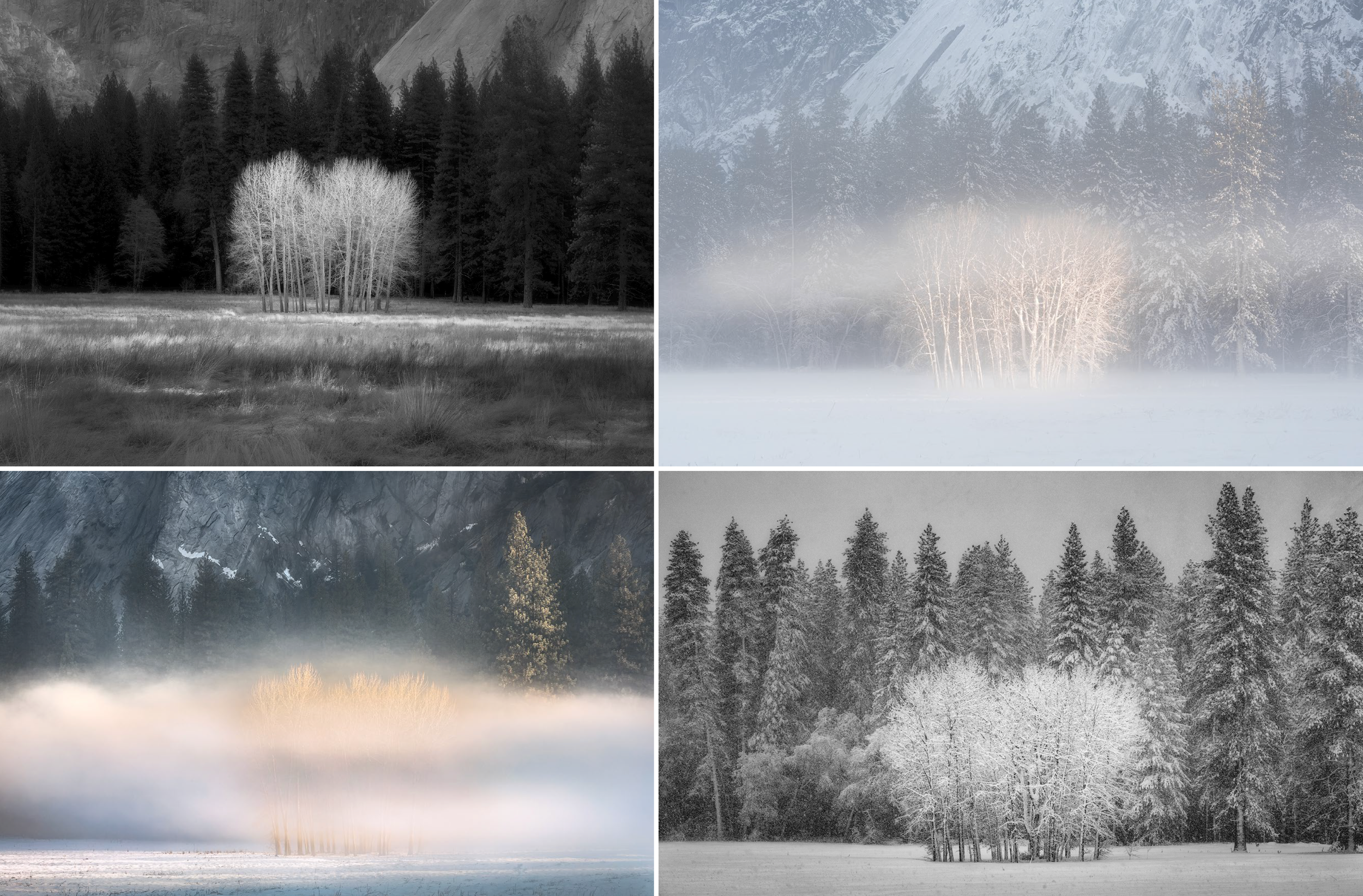 Screenshot 2026-03-19 at 8.34.36 AM.png